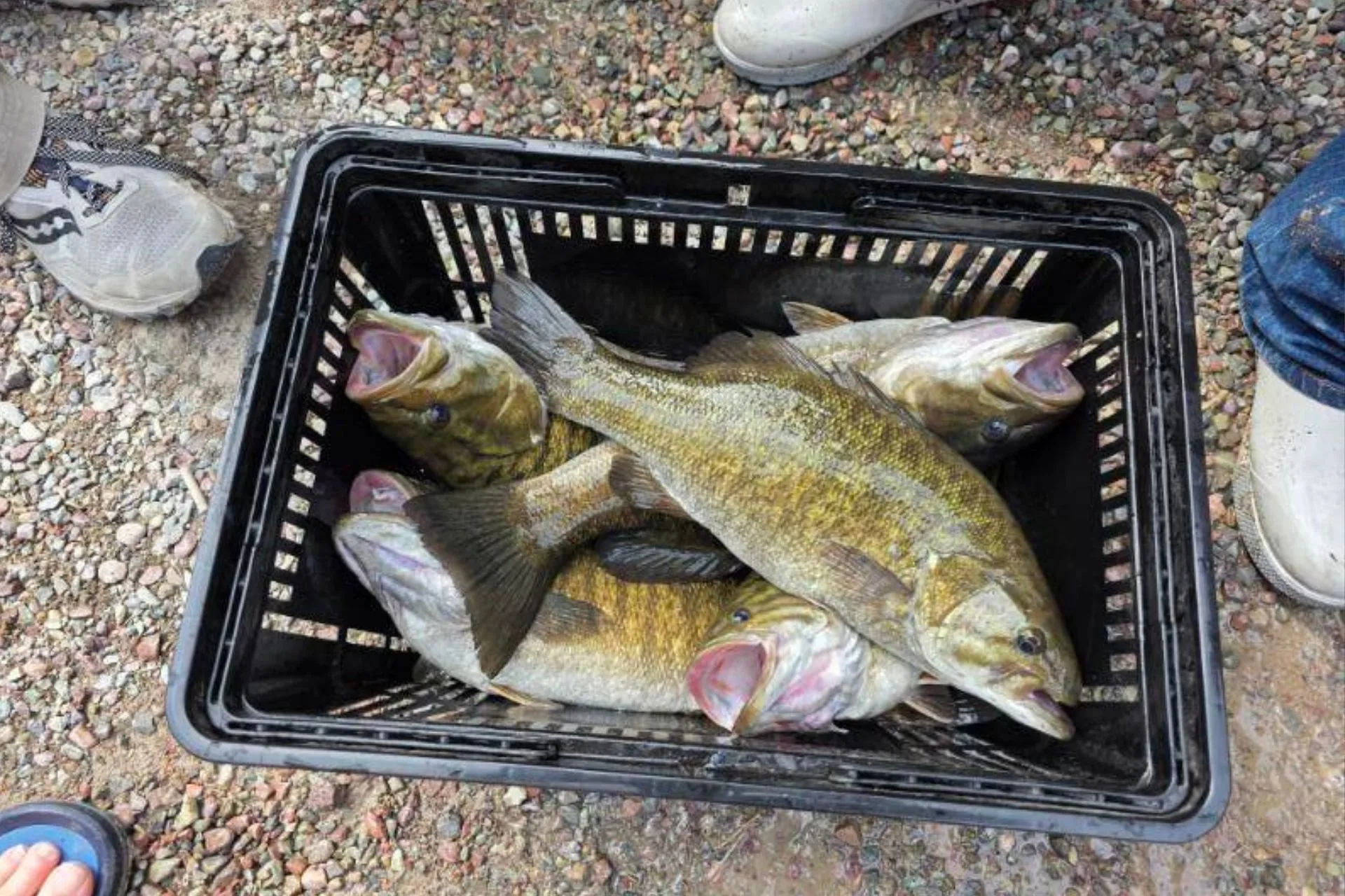 Echo Lake Big Sky Bass Bash results from April 26