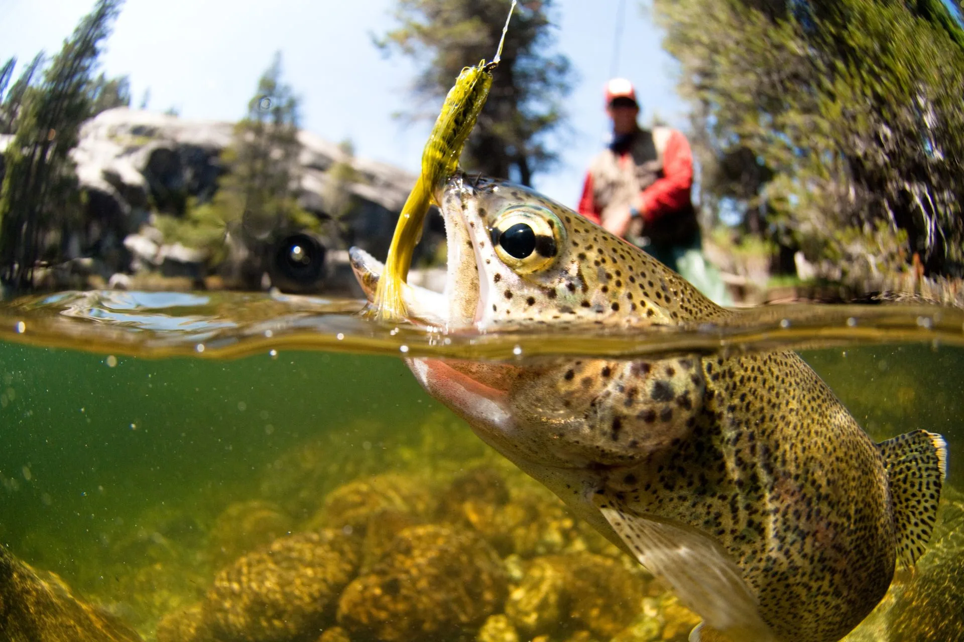 Tired of the Fly Fishing Crowds?