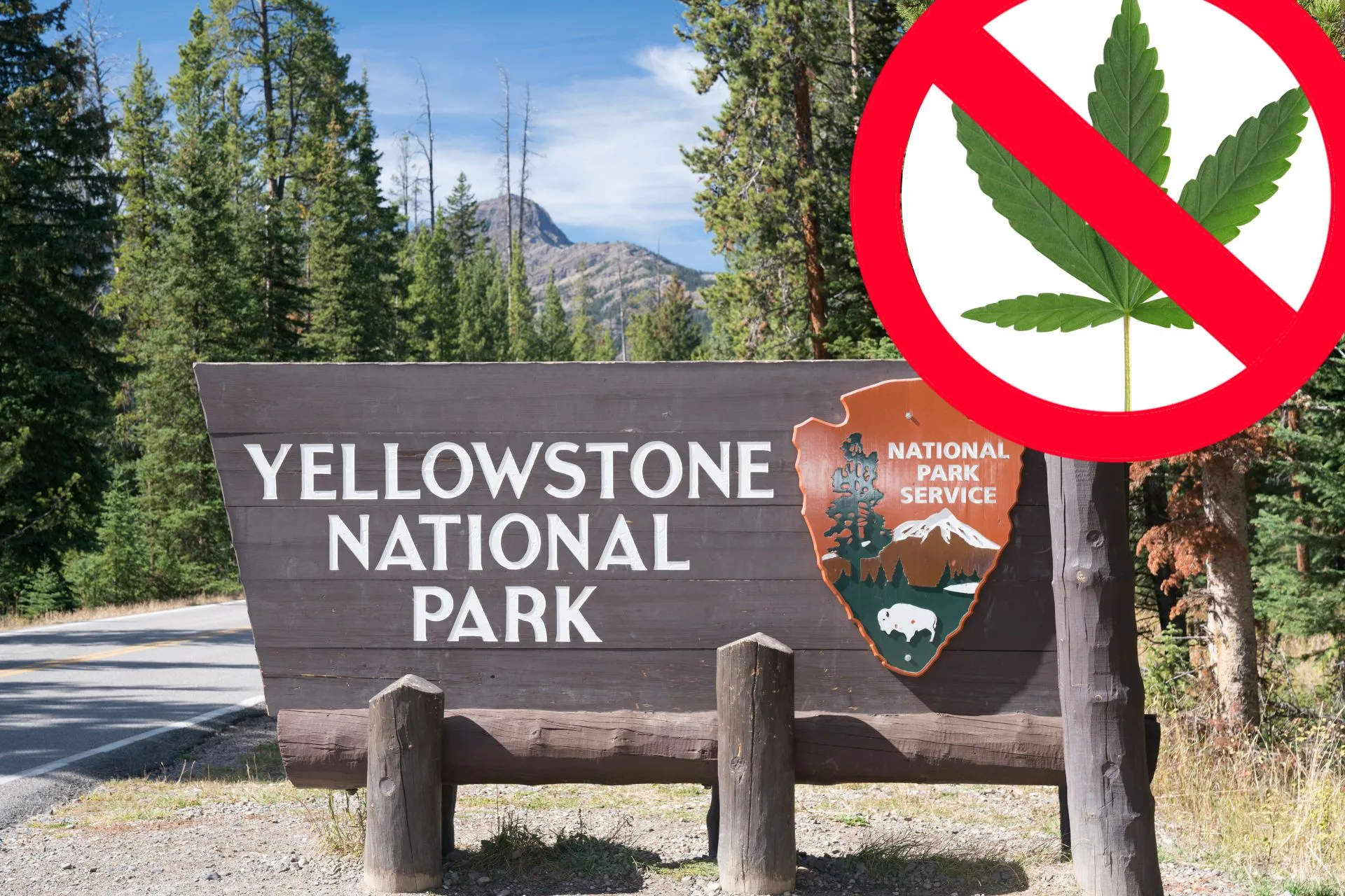 Yellowstone Is Wild, But Not That Wild—Weed Still Banned