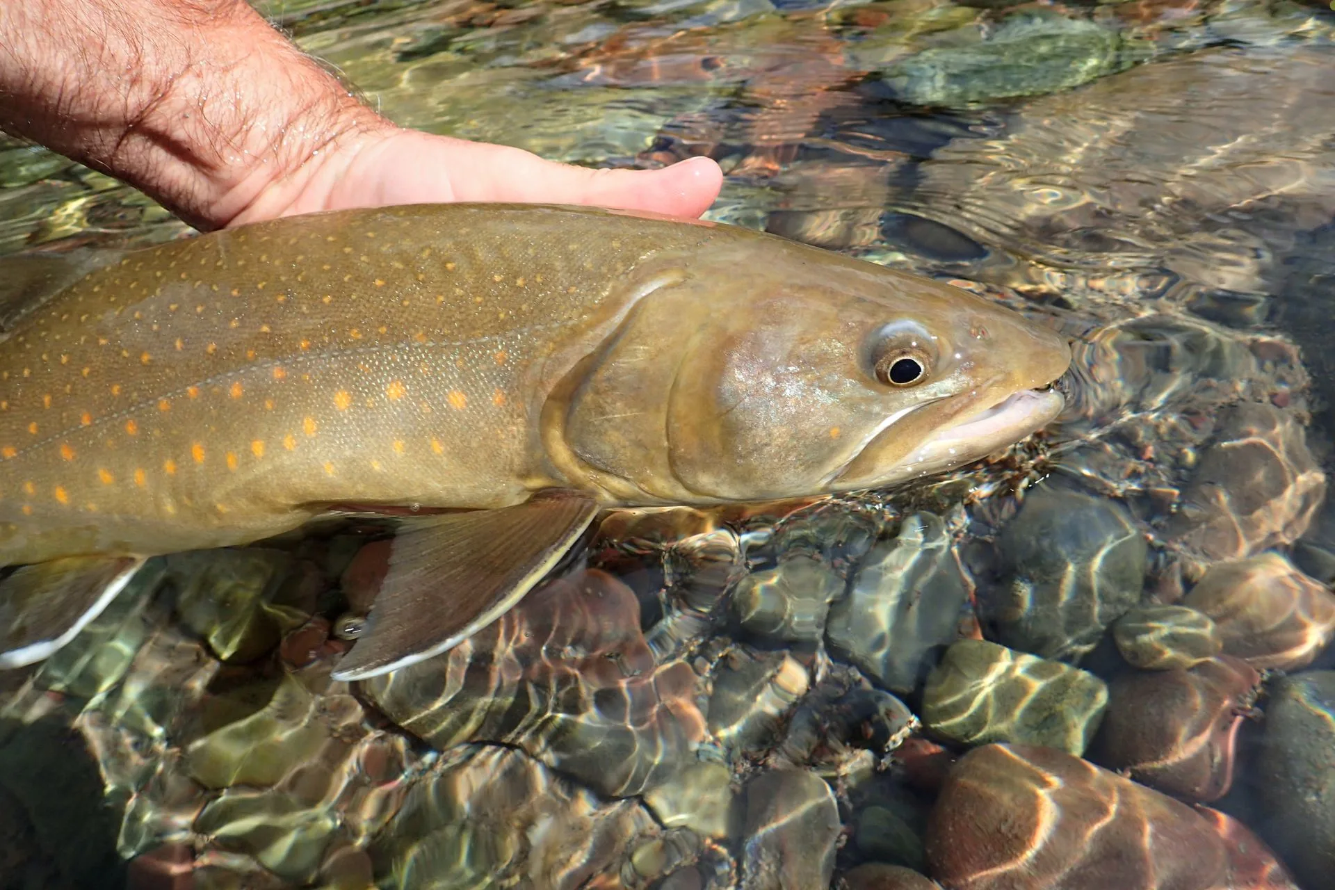 New Fishing Season, New Rules