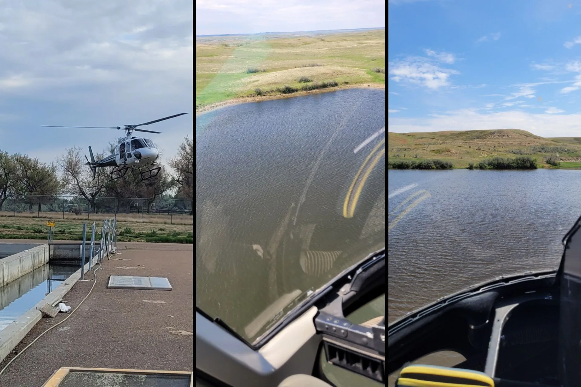 FWP Region 6 rainbow trout stocking report