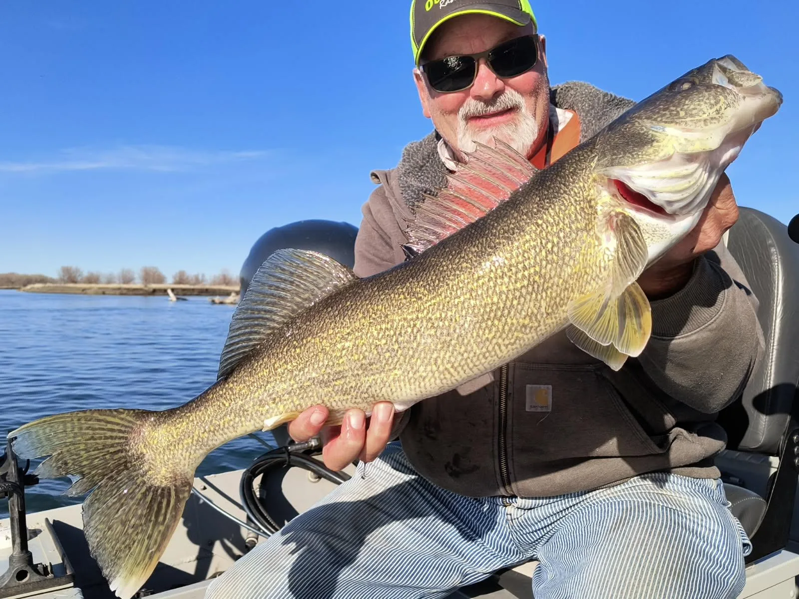 Captain Finds Some Spring Walleye in Dredge Cuts