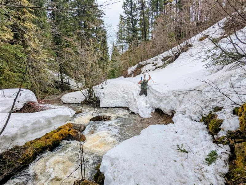 Montana Snowpack is Near to Below Normal as the Season Shifts to Spring