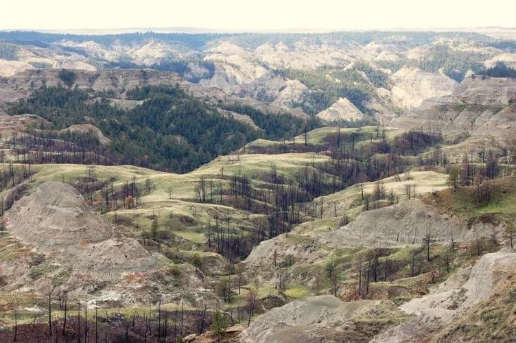 Gated road blocks route to BLM’s Seven Blackfoot WSA
