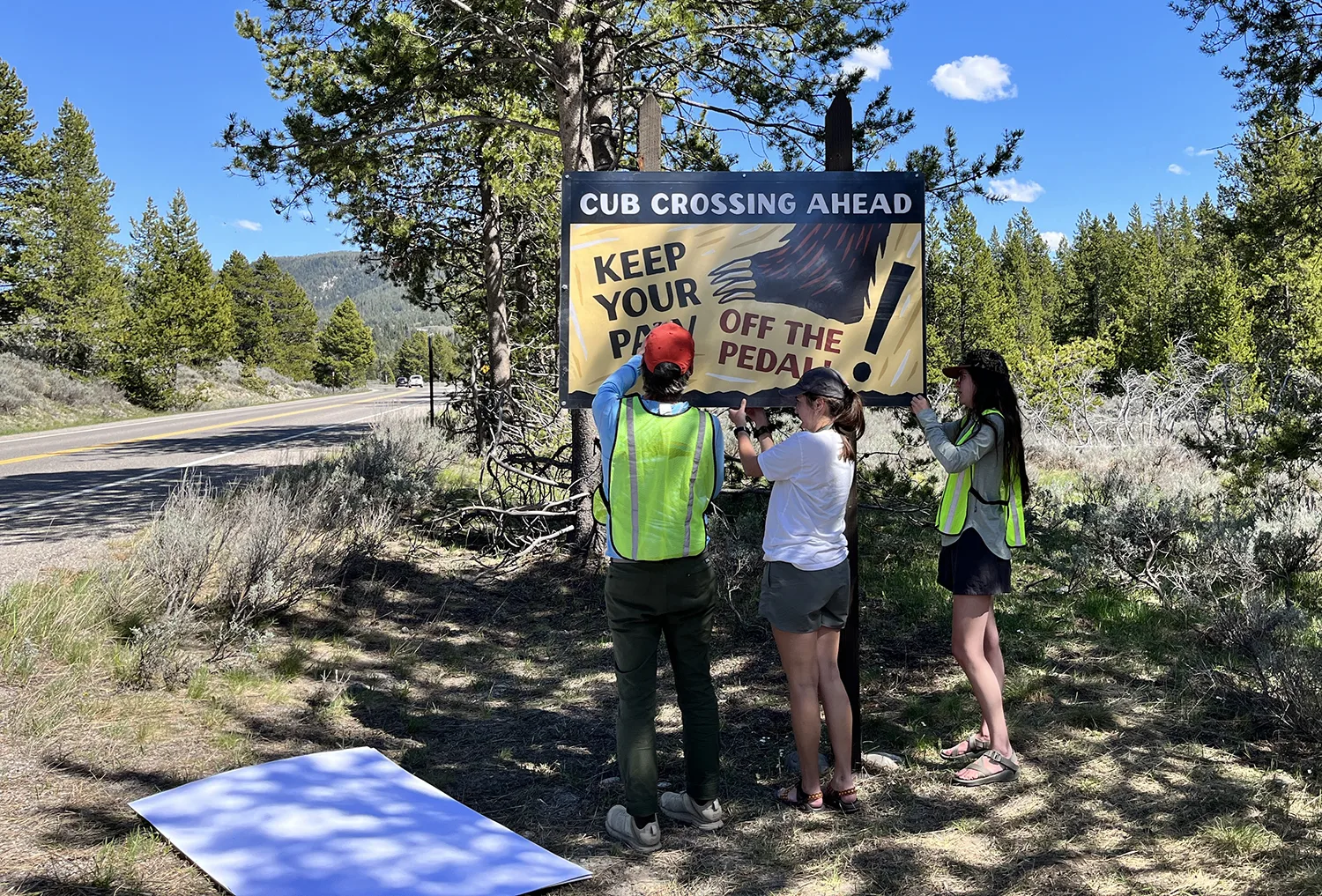 Can Better Signs Save Bears? UM Studies Signage in Grand Teton National Park