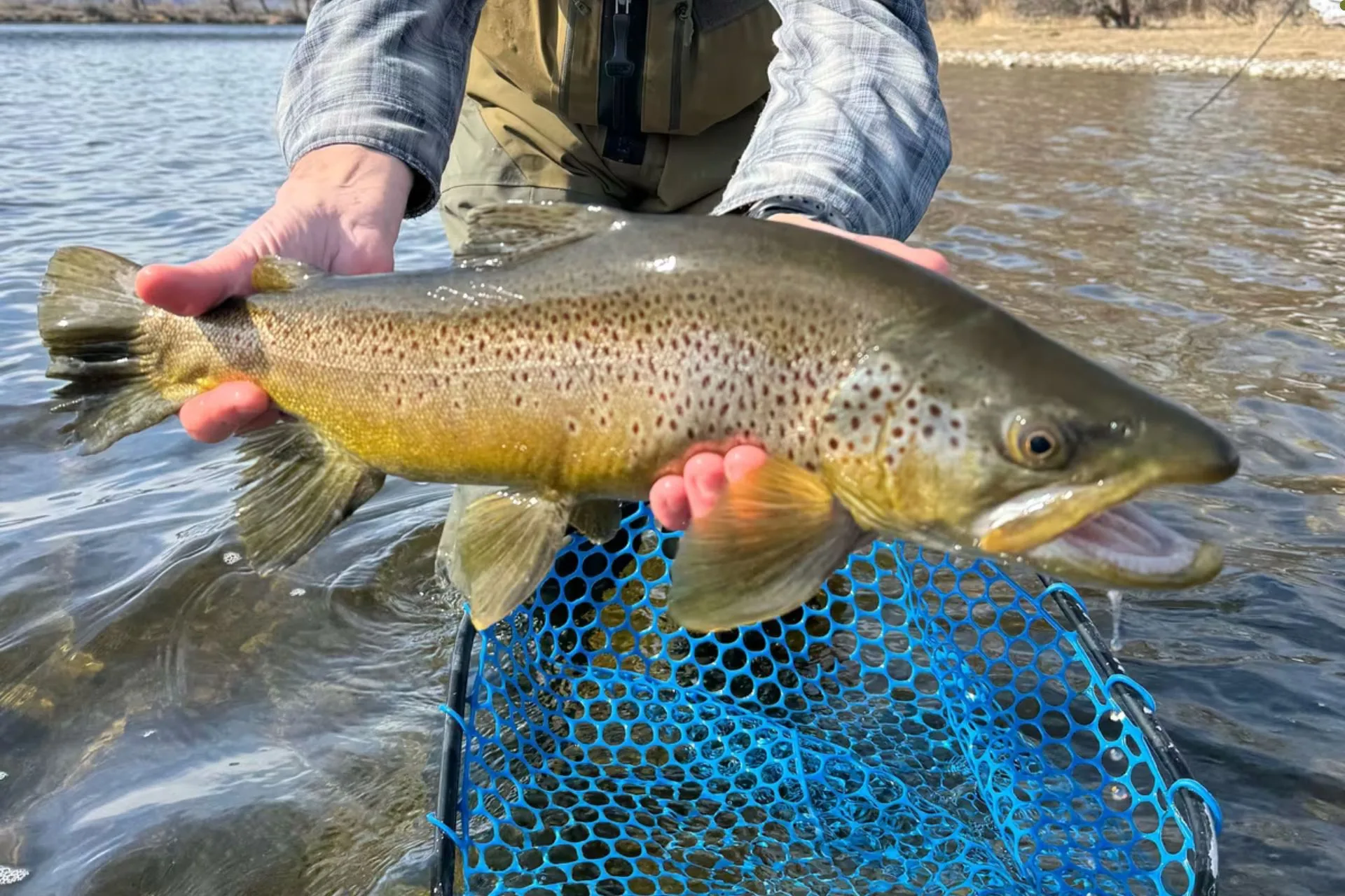 Missouri River Fishing Report 5.28.25