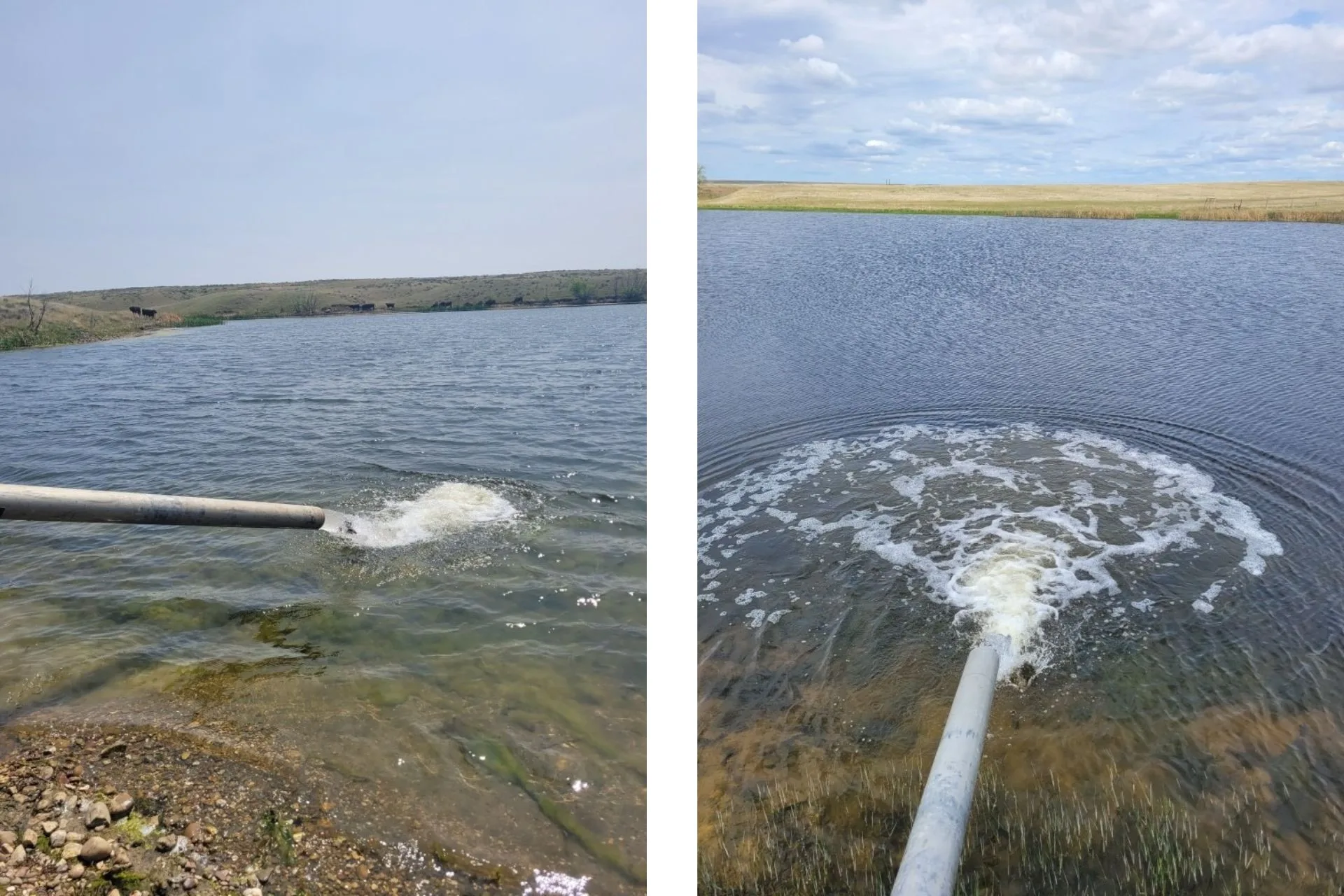 FWP Region 6 Rainbow Trout Stocking Report — 6.1.25