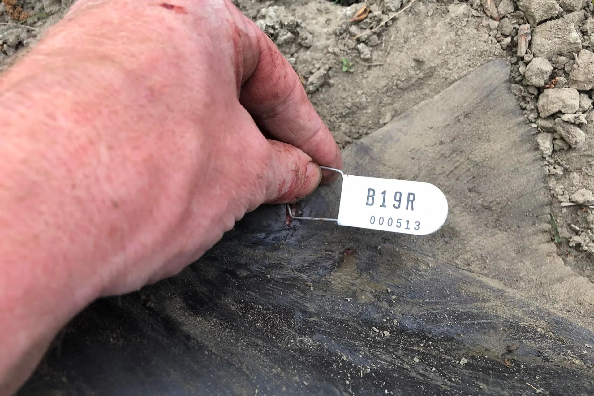 FWP’s Upper Missouri Paddlefish FINAL Update