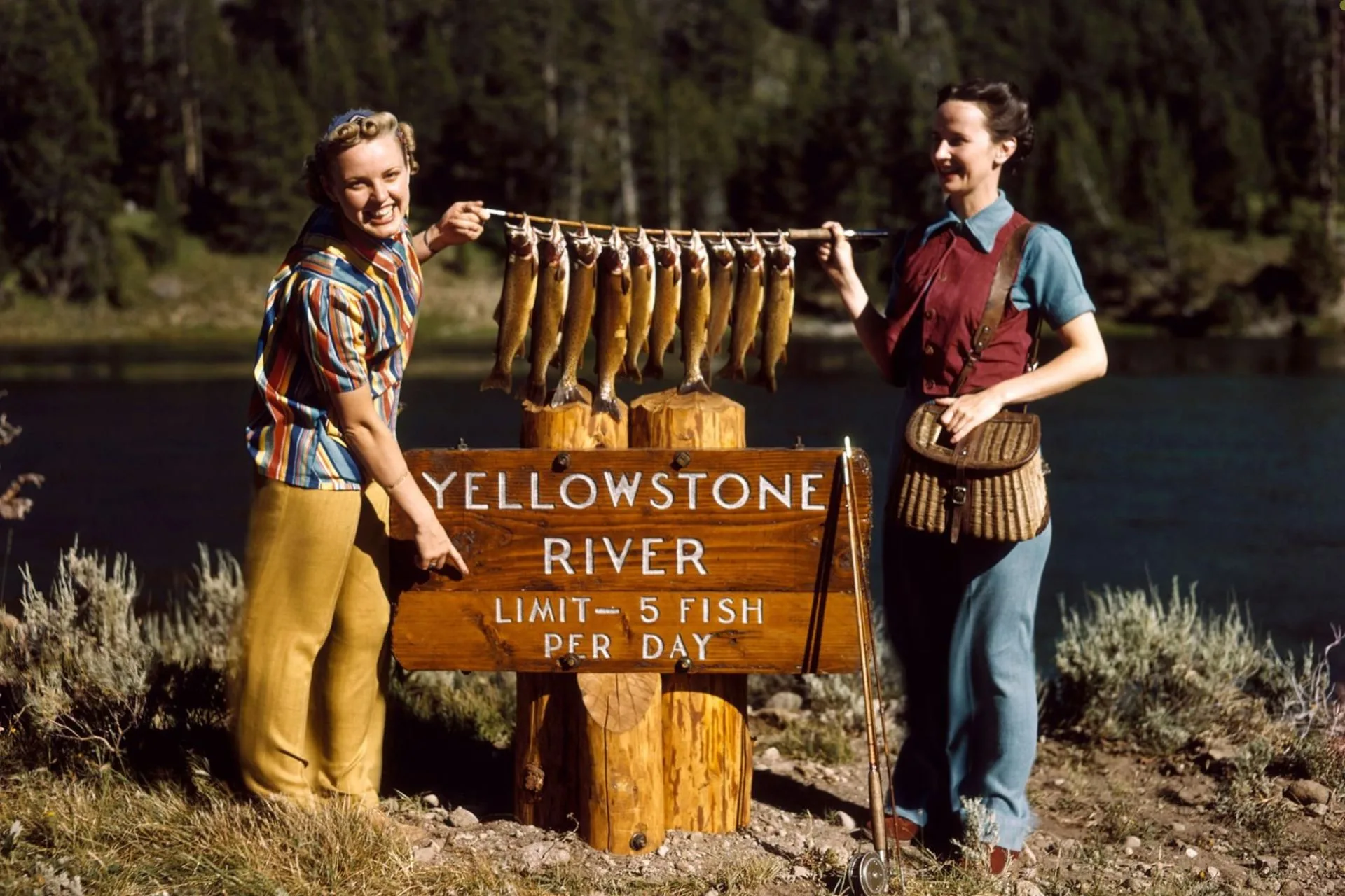 Yellowstone Lessons