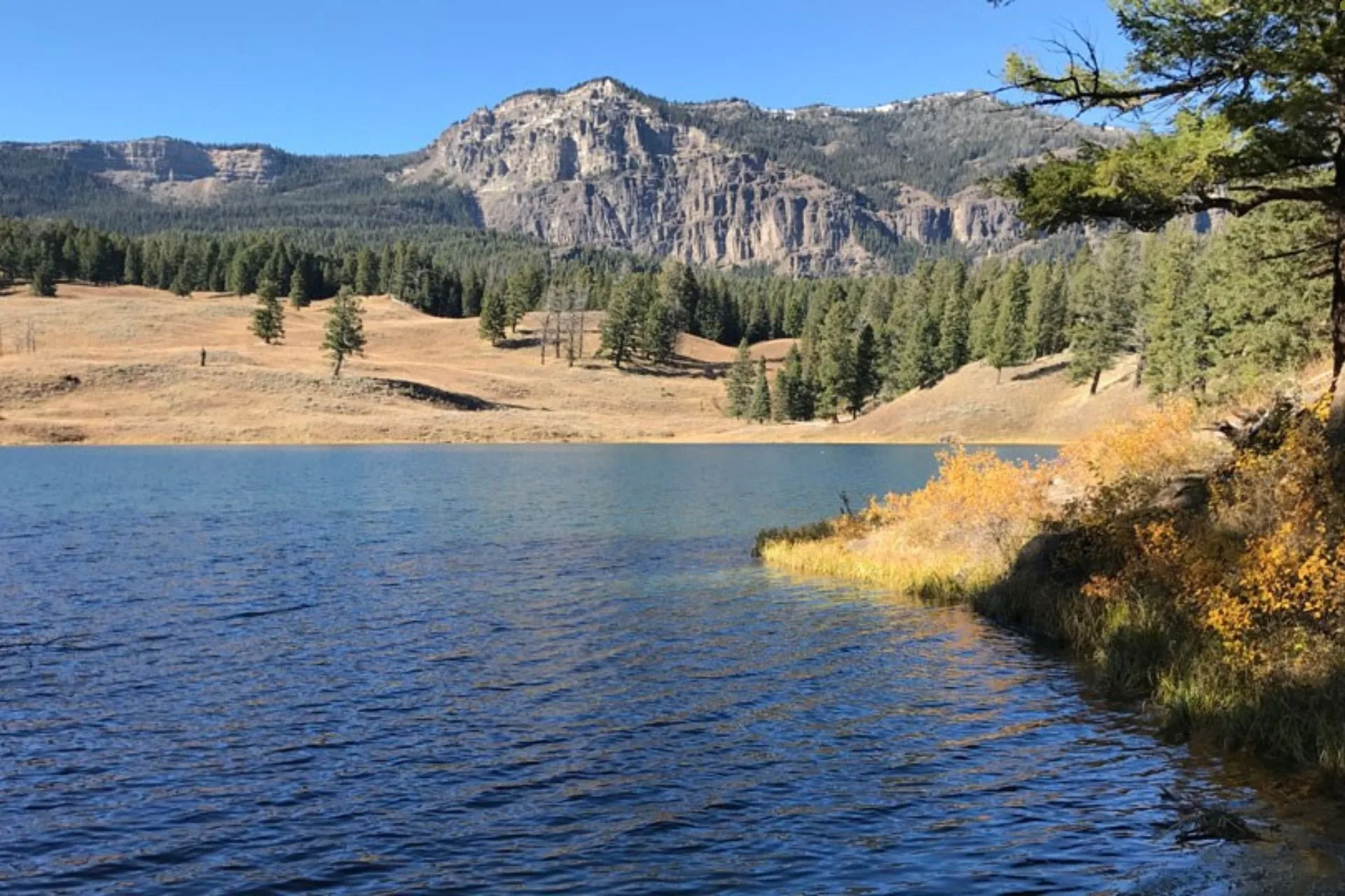 Trout Lake
