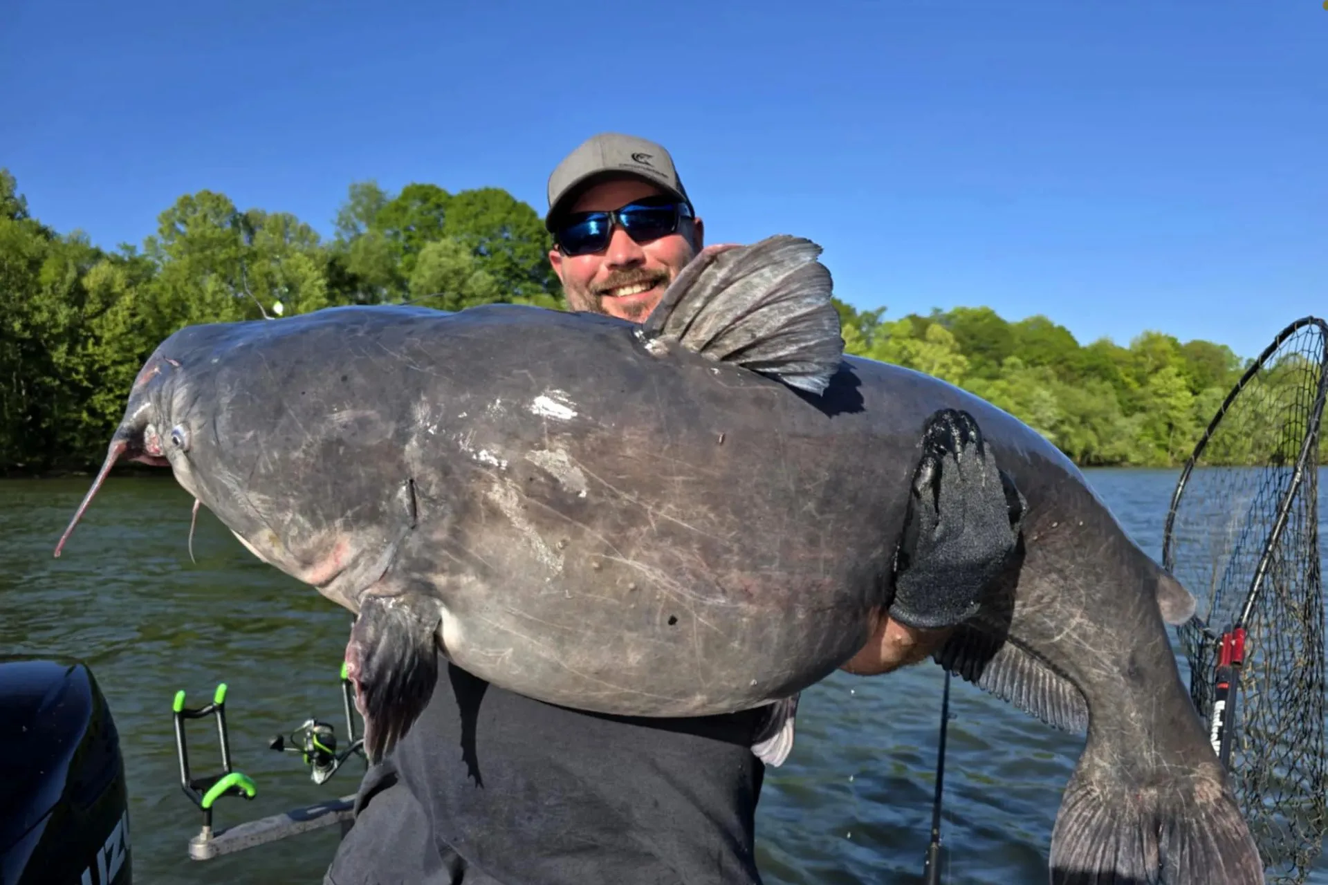 The Catfish That Couldn’t Stay Uncaught