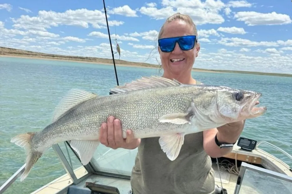 The Rise of Tiber–the Walleye Giant