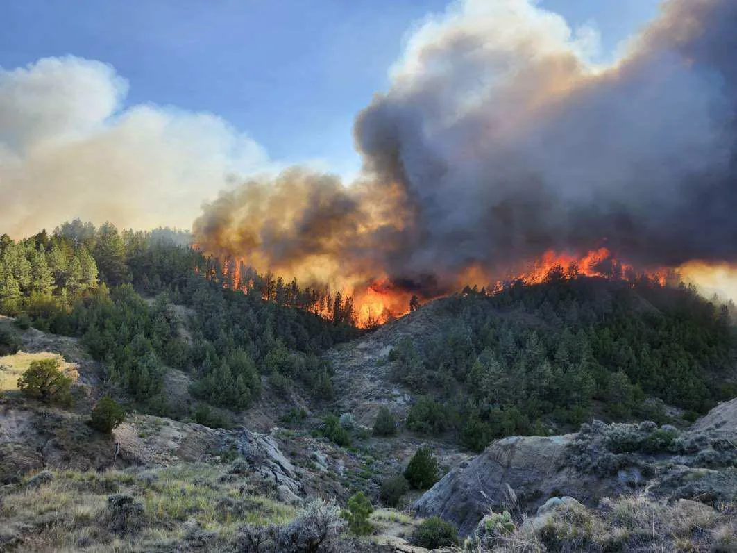 Dawson County Fire Update