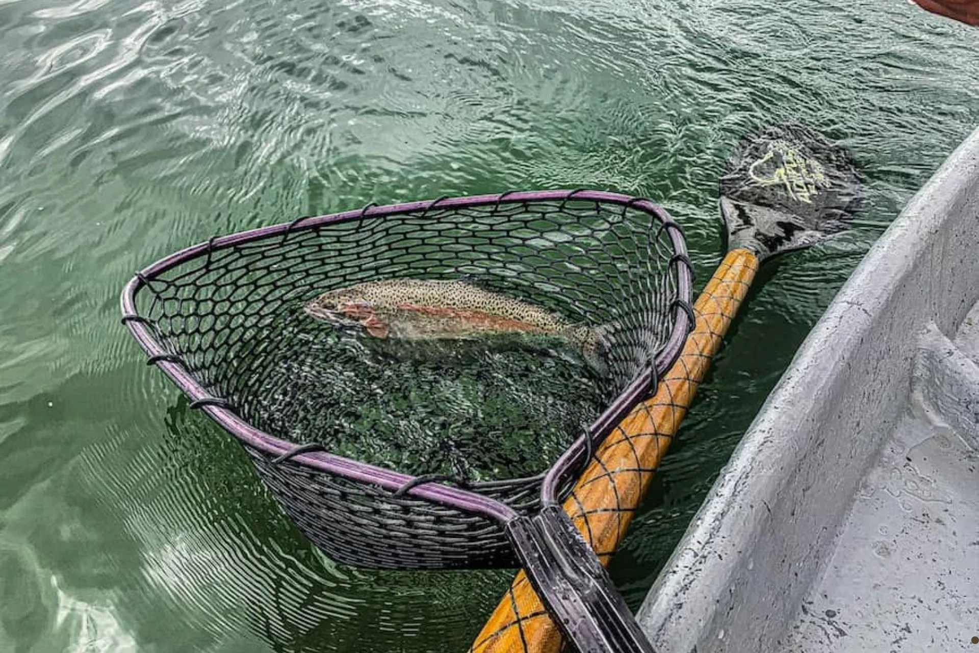 Flathead River Fishing Report 7.15.25