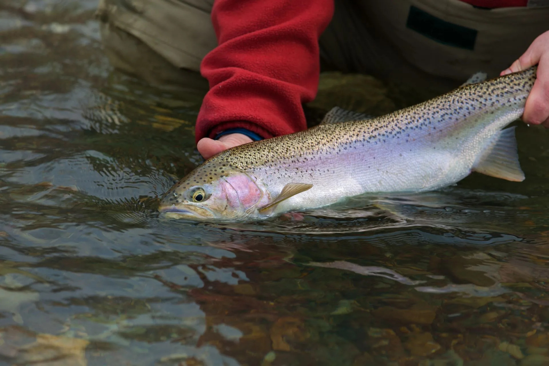 Georgetown Lake Fishing Report 7.15.25