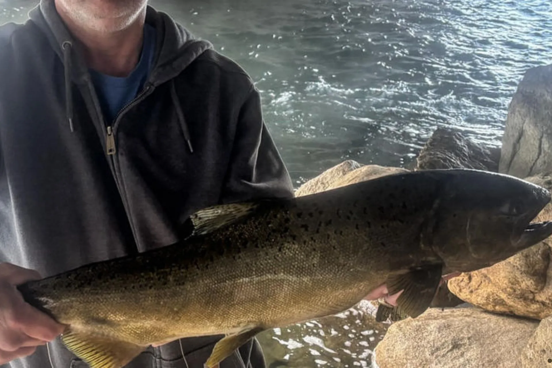 Upper Salmon River Chinook Fishery update: 7.15.25