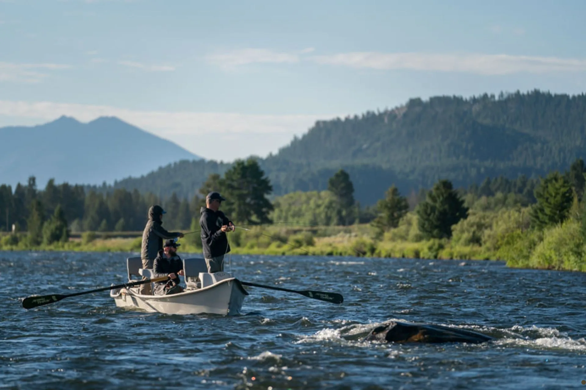 Upper Madison River Fishing Report 7.15.25