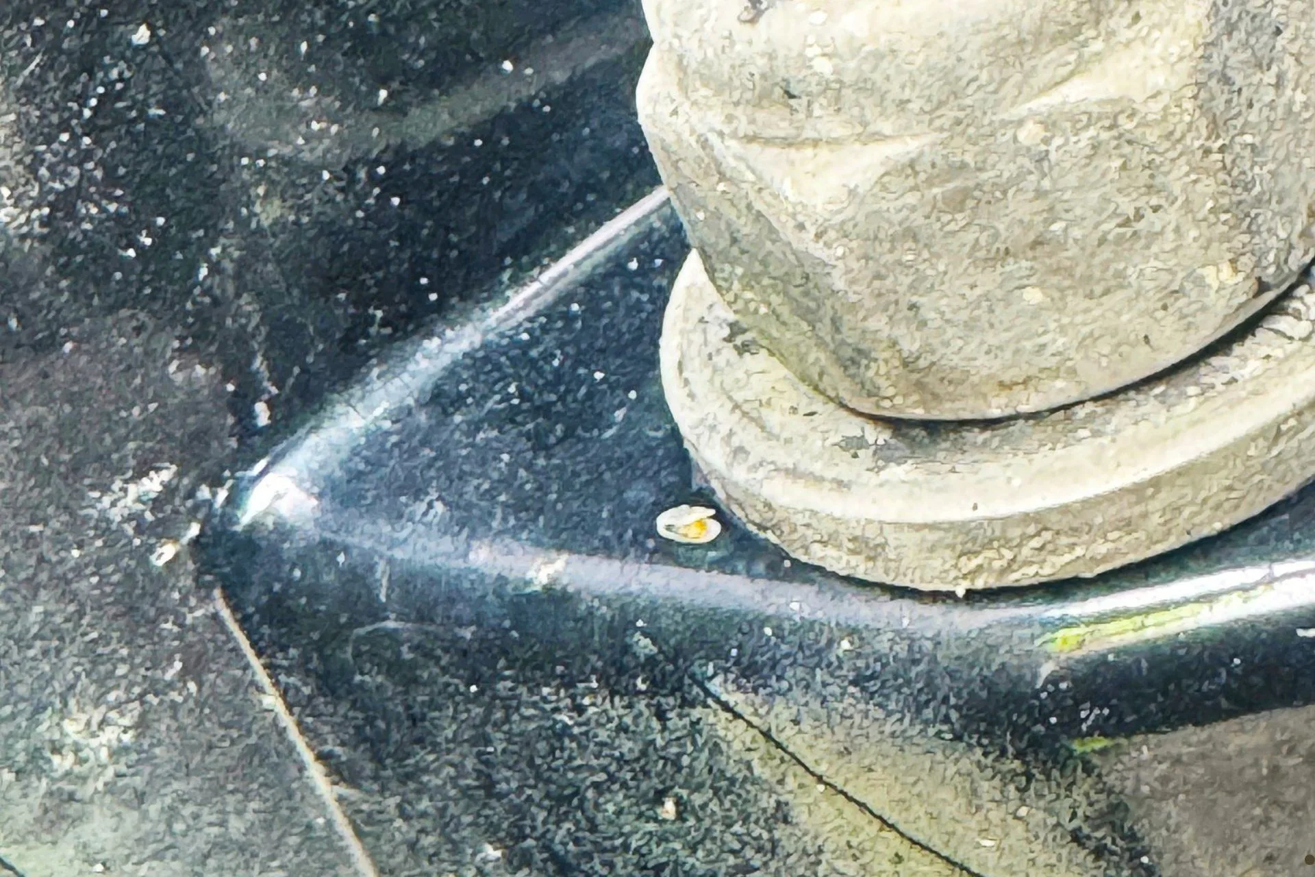 Heads Up Boaters—Inspections Are Working!