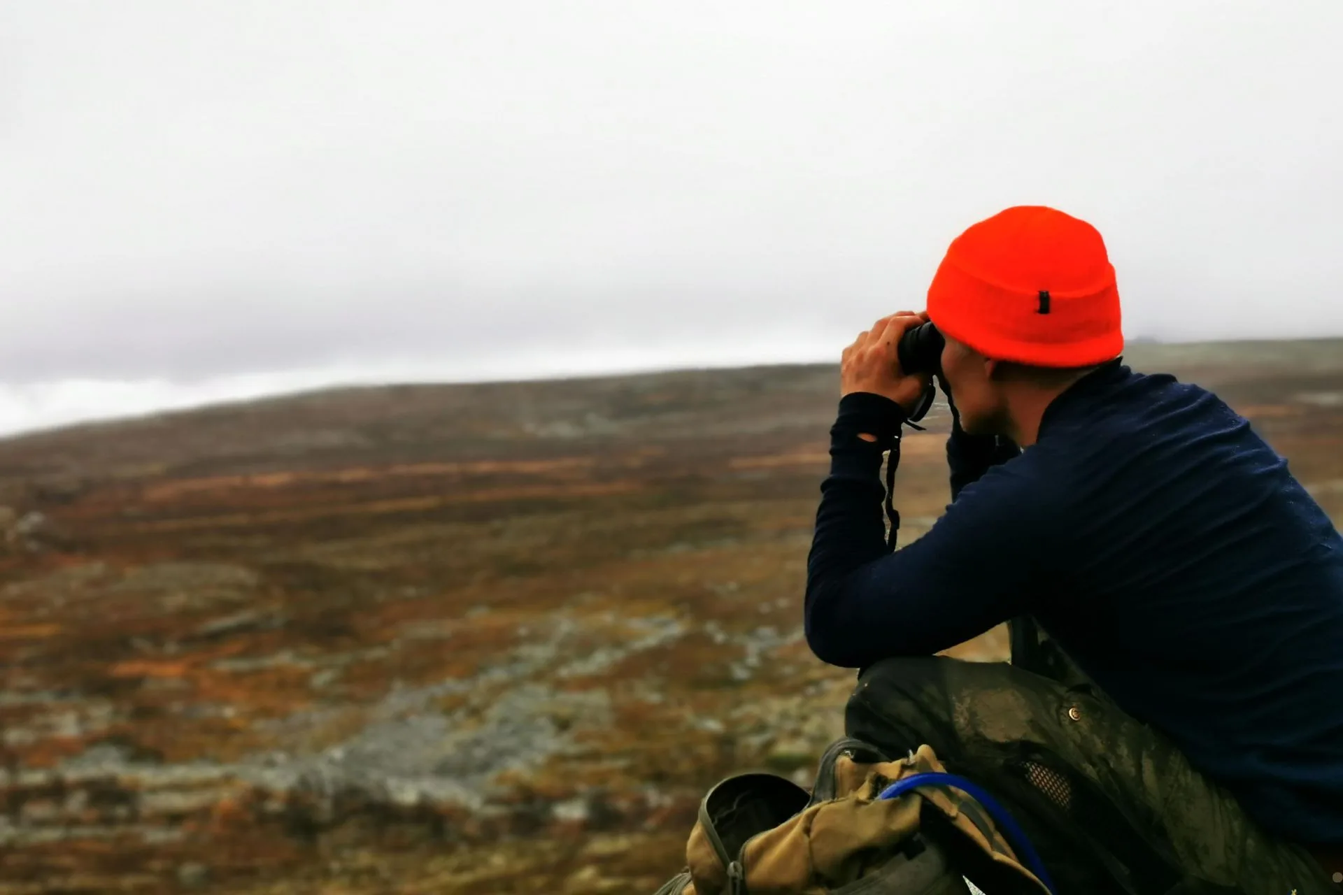 Nonresident hunters can now check their Alternate List status online