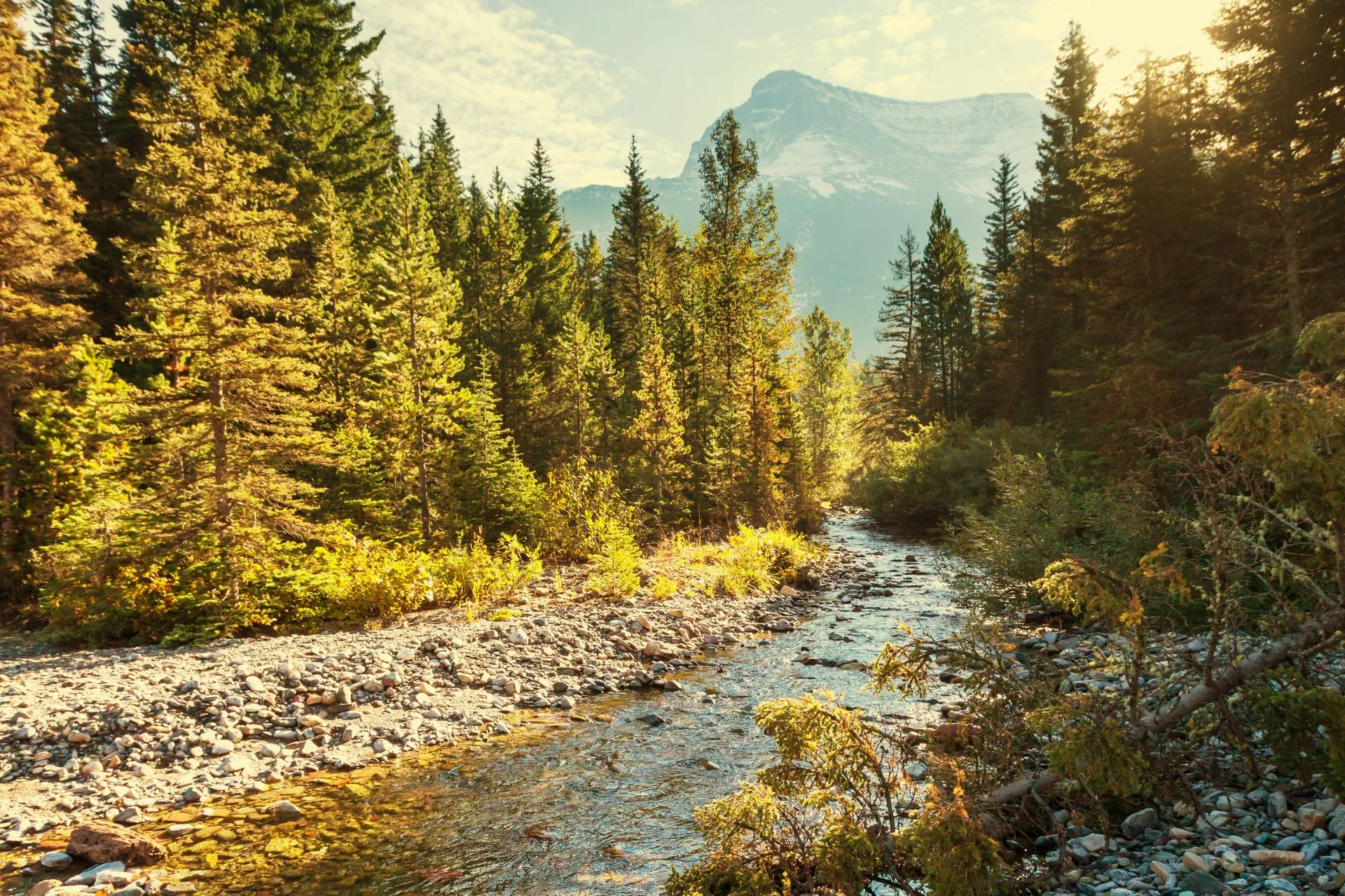 MT Conservation License Required for Access to State Trust Lands