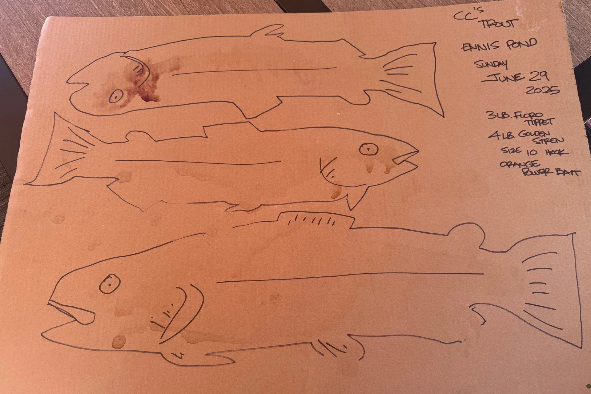Fish Boards