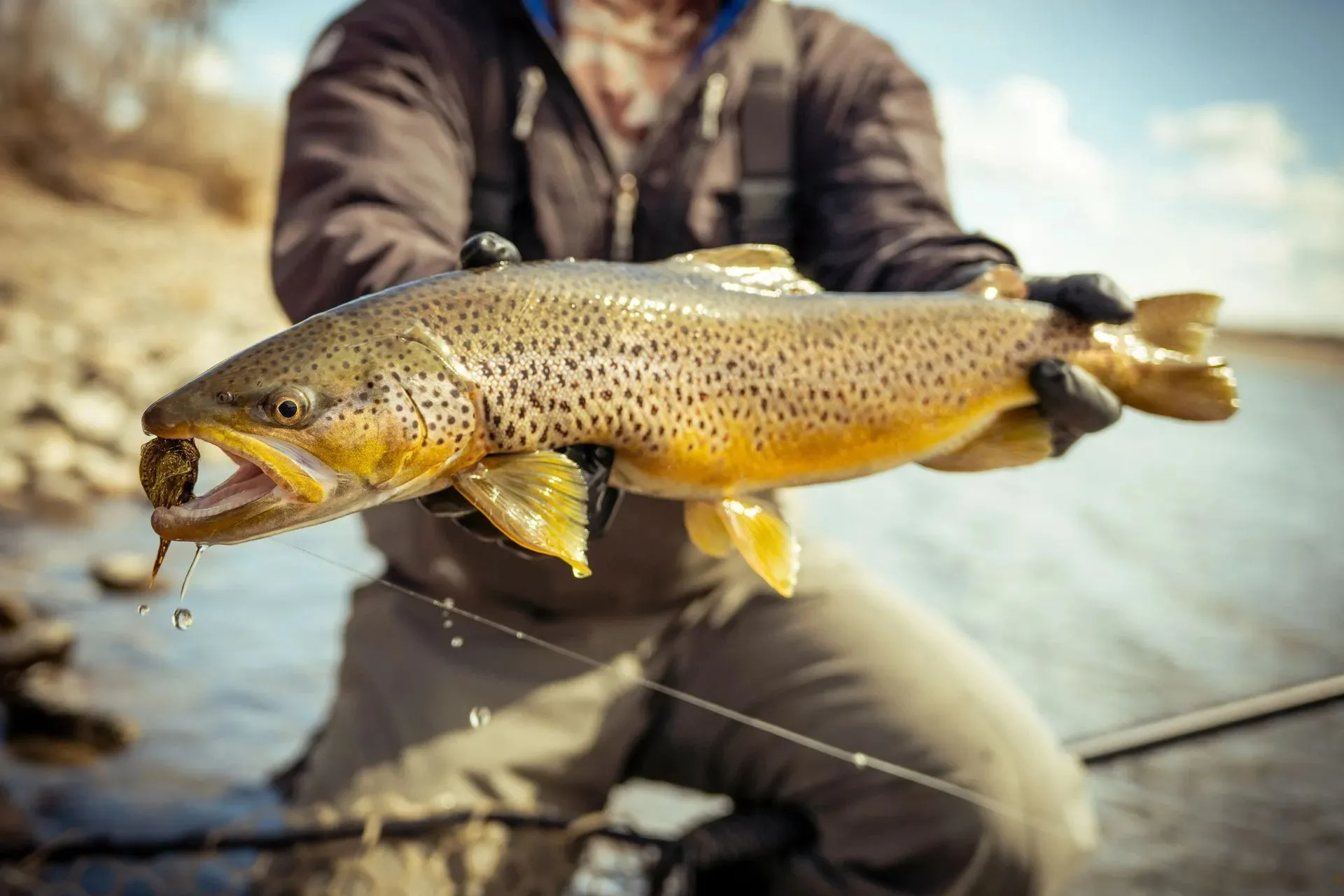 Gallatin River Fishing Report 7.17.25