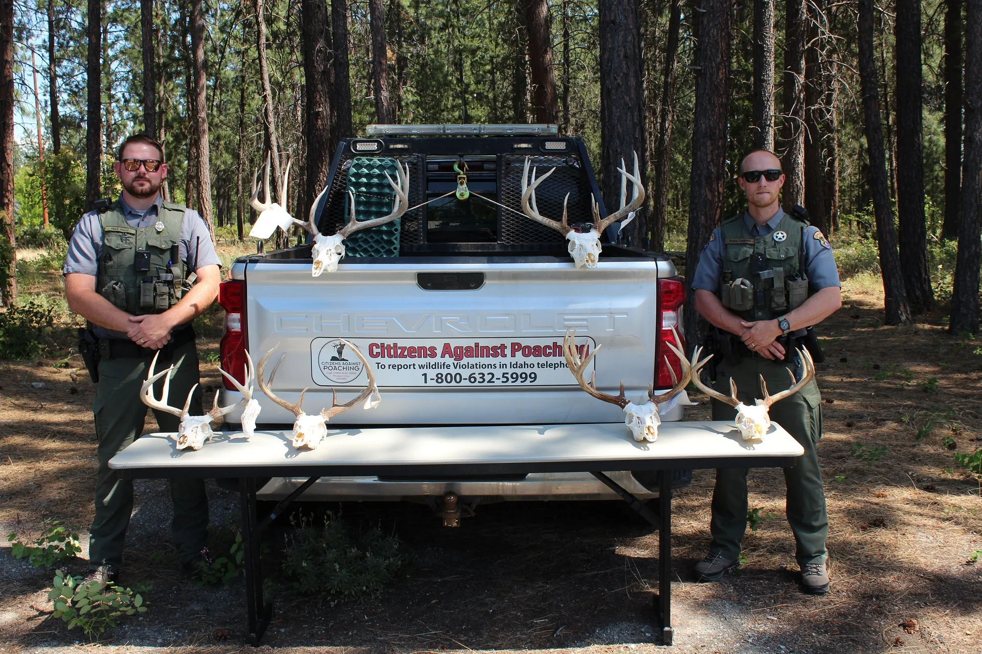 Men charged for alleged unlawful take of seven white-tailed deer