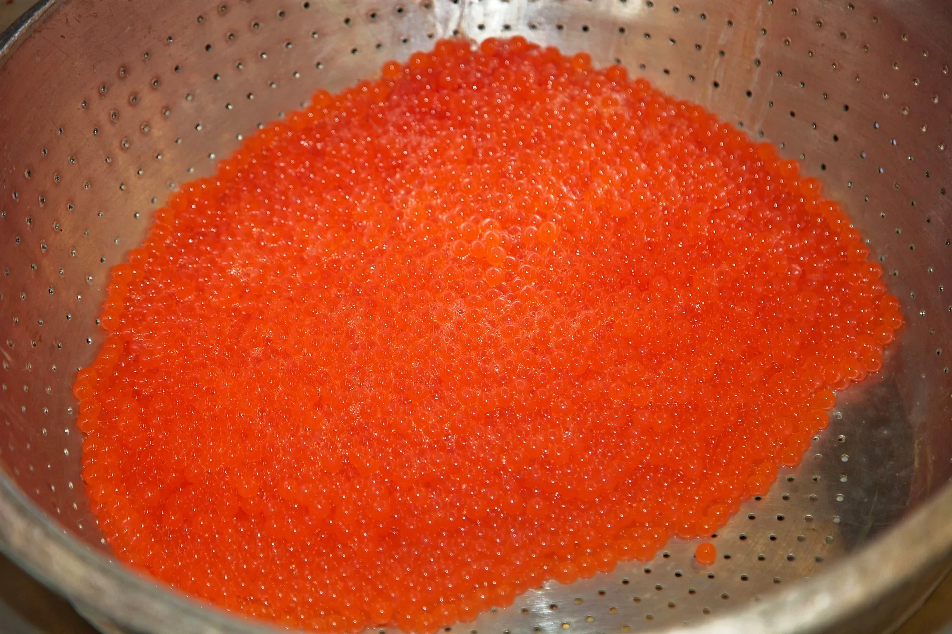FWP collects golden trout eggs from Sylvan Lake to be reared in hatchery