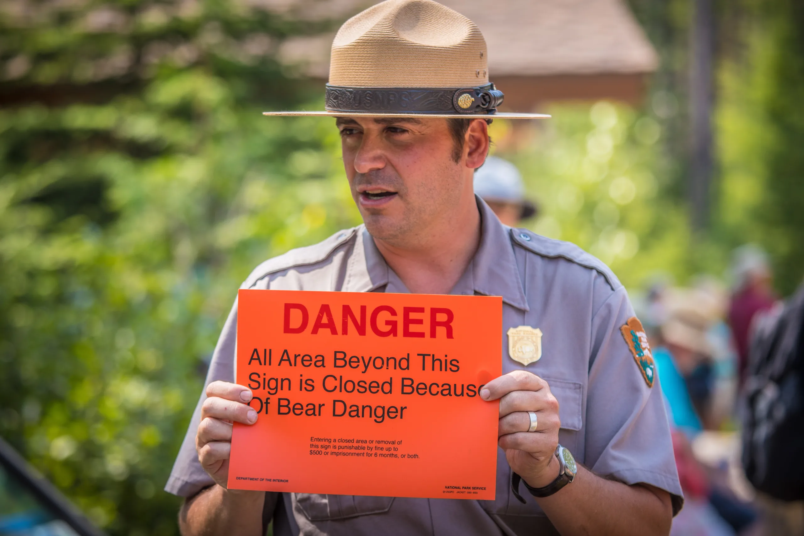 Backcountry Hiker Injured by Bear in GNP