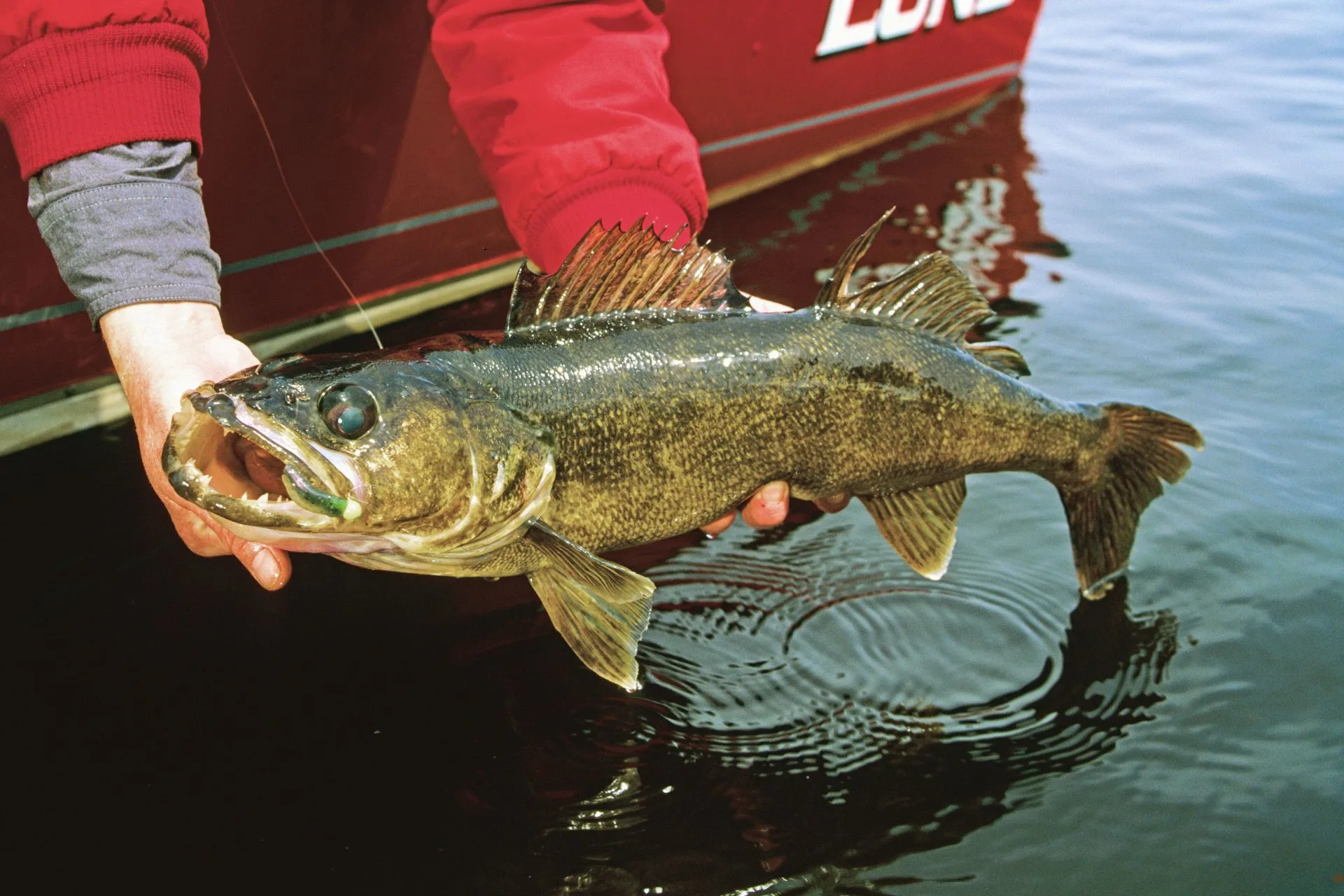 FWP Helena Area Reservoirs Fishing Report 8.4.25