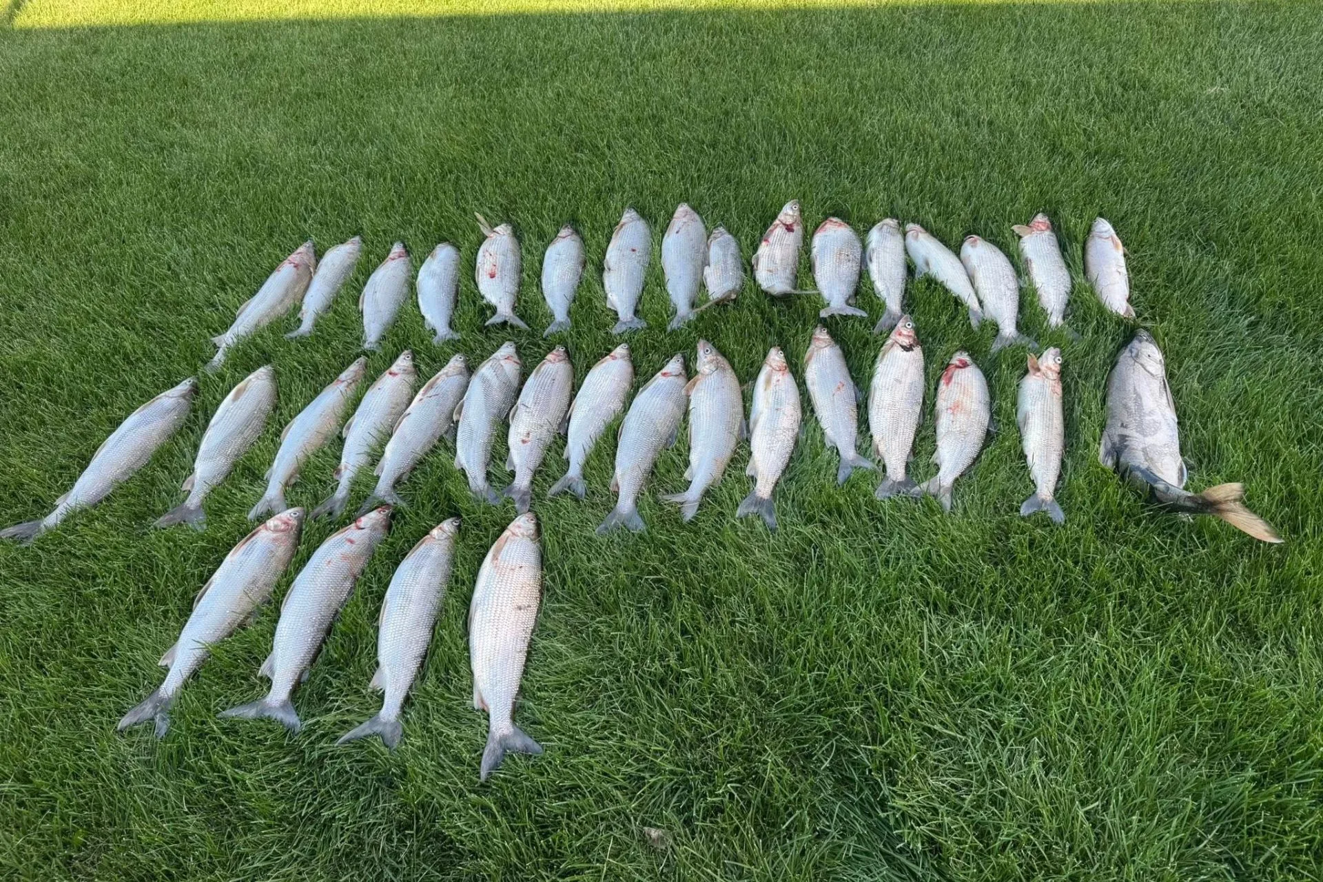 Montana Magic with Rod Benders to Personal Bests