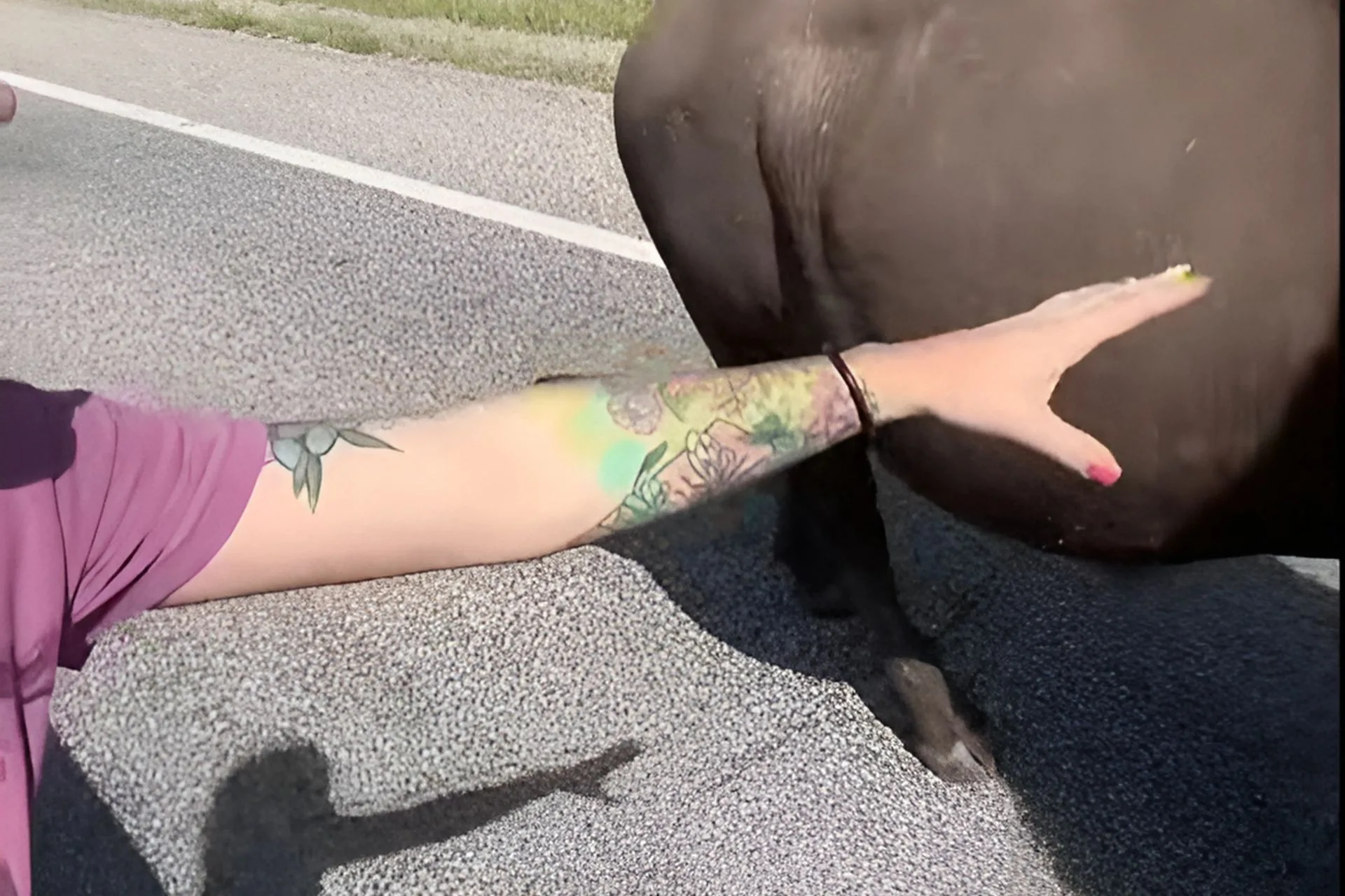Please Don’t Pet the 2,000-Pound Missile