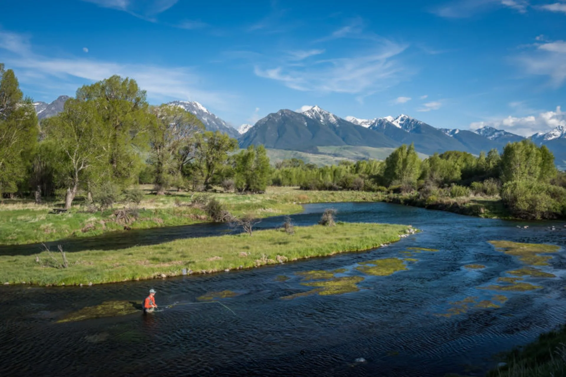 SW Montana Fishing Reports Overview 8.6.25