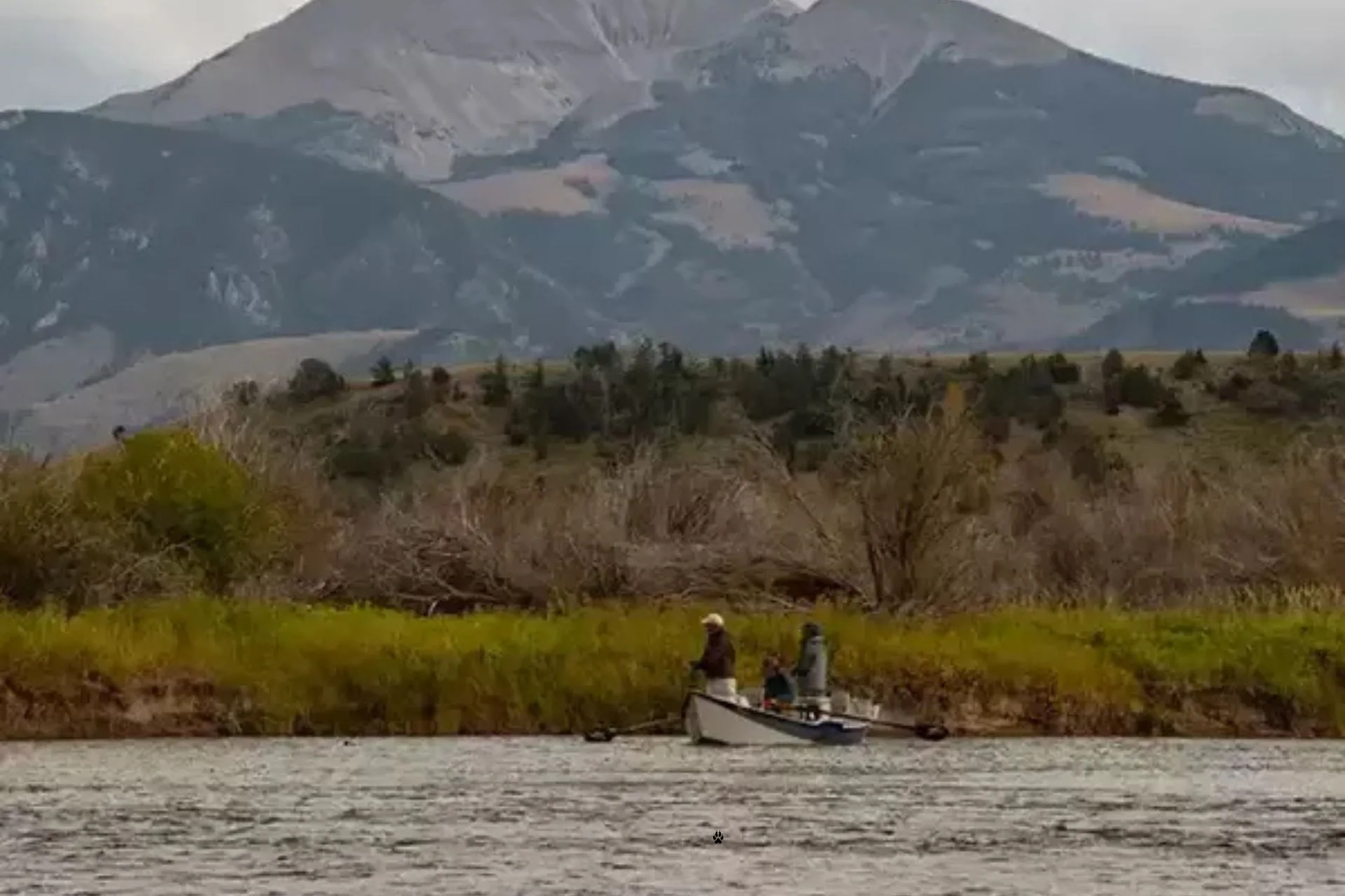 Upper Madison River Fishing Report 8.11.25
