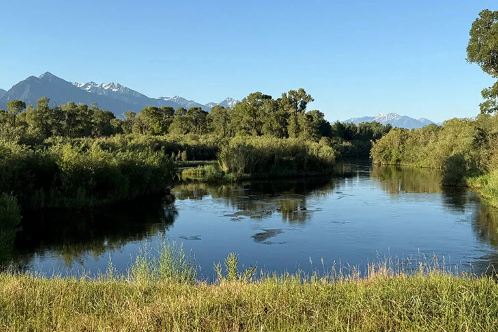 Paradise Valley Spring Creeks Fishing Report 8.12.25