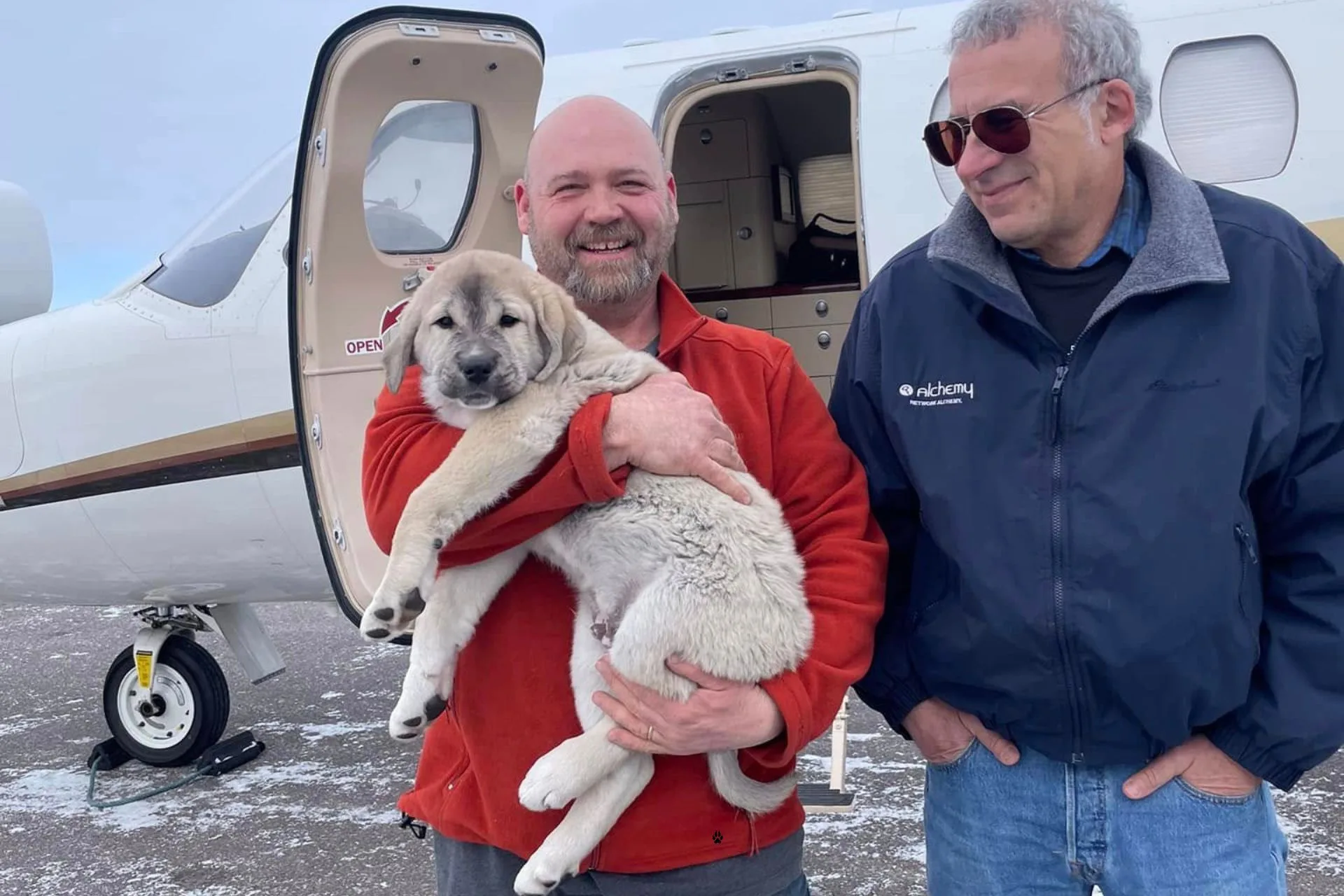 Bear’s Journey from Montana to the Savanna