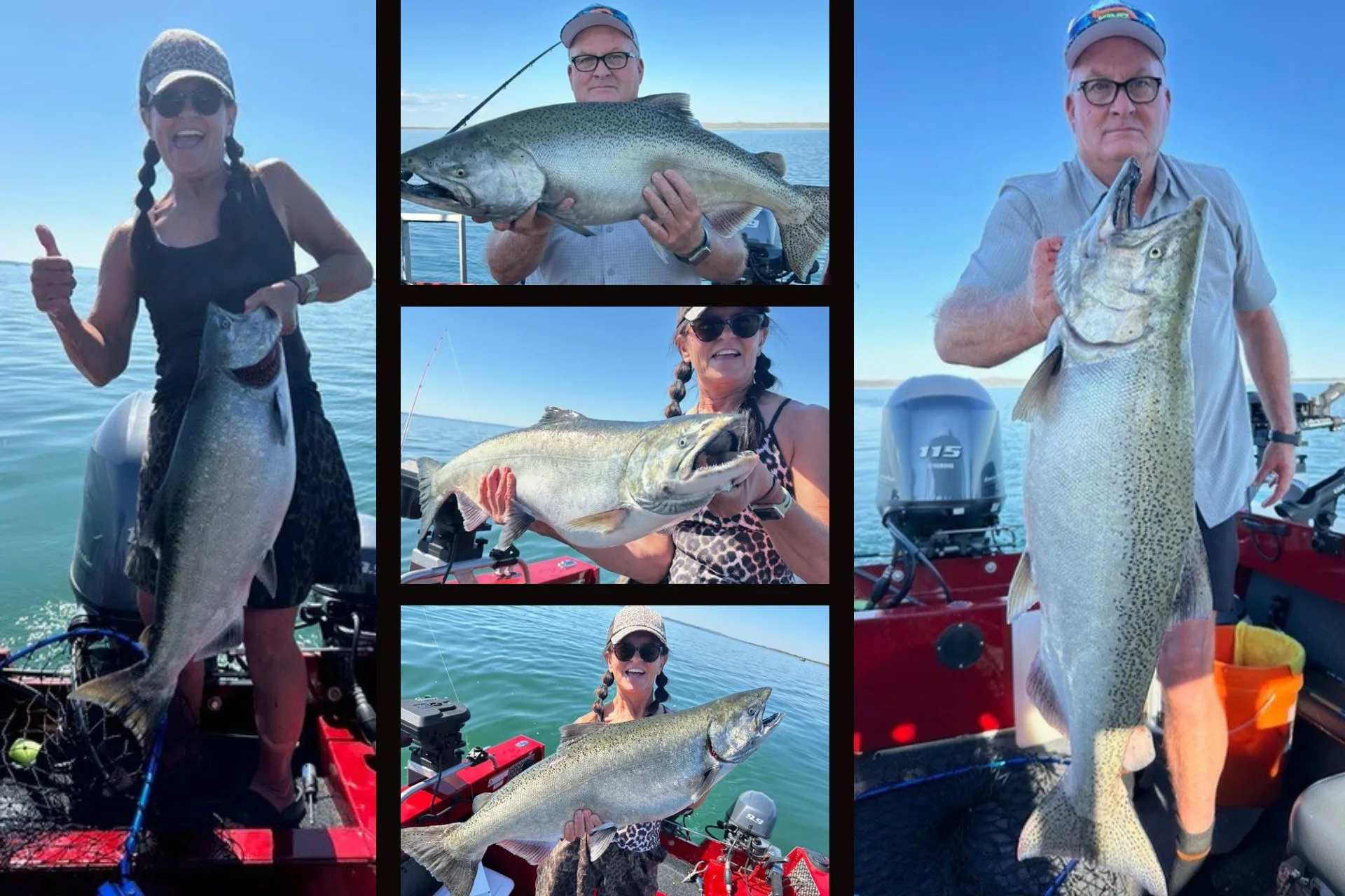 The Pull of Peck and Black Jaw Fever