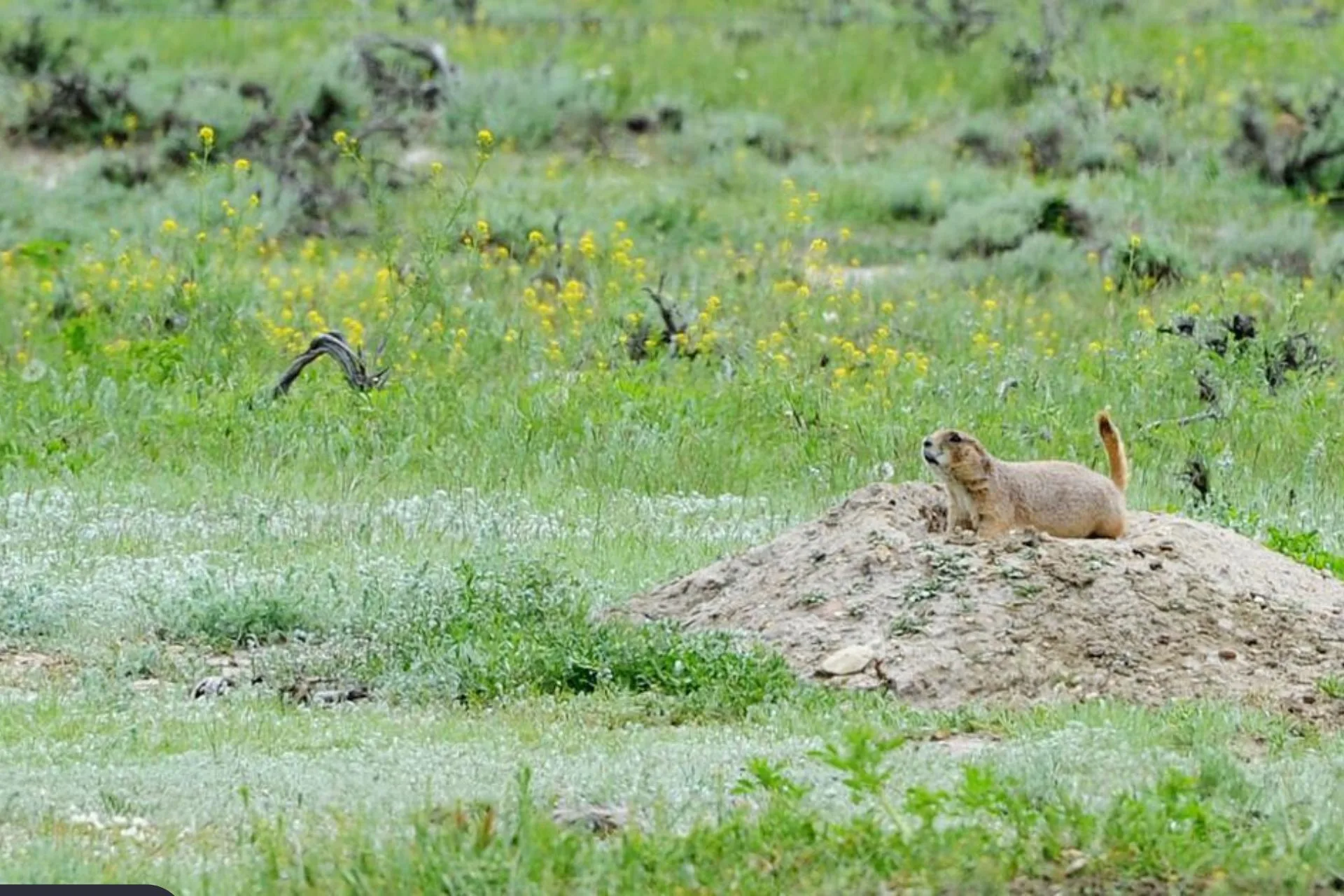 Fish and Wildlife Commission Oks more than 122,300 acres of easements