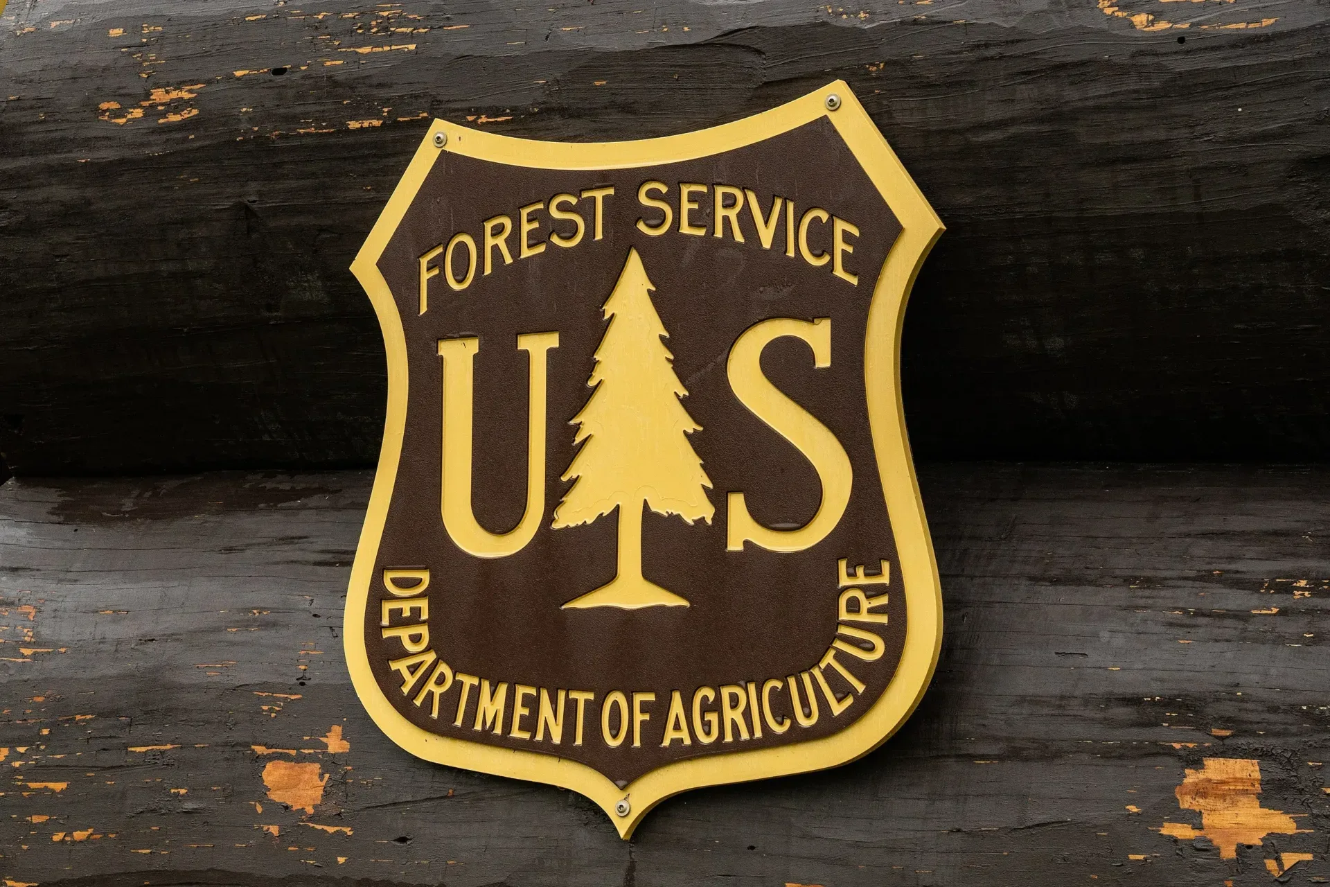 Logan Creek – Hoke Creek Road 1625 closed for public safety