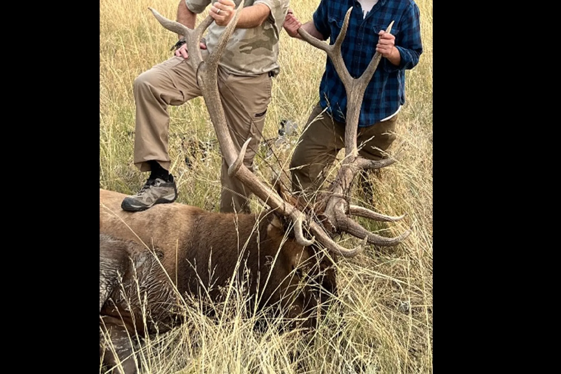 Felony warrants issued for Michigan father and son for wildlife violations