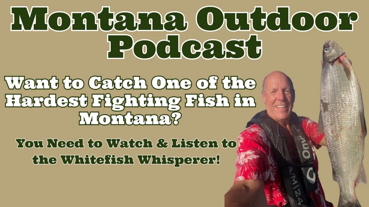 MORS Podcast: Want to Catch One of the Hardest Fighting Fish in Montana?