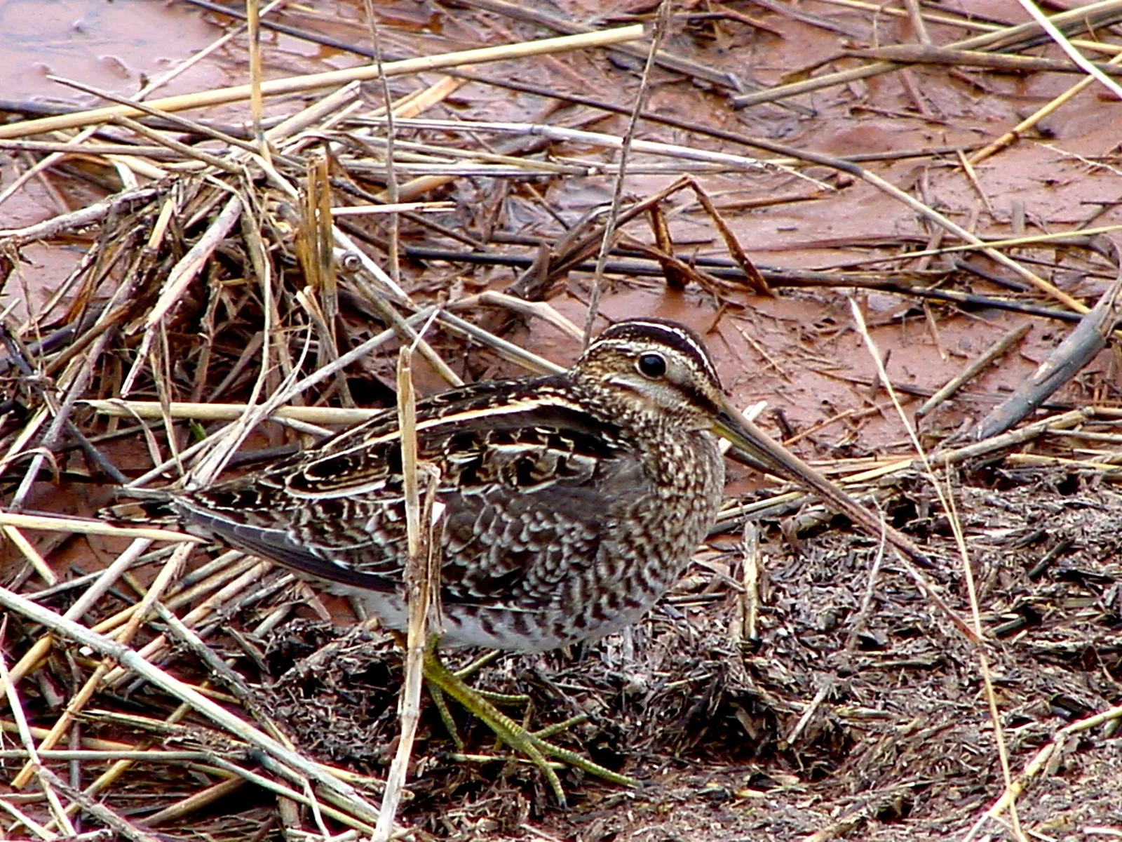 Interior Department Expands Hunting Access in Montana