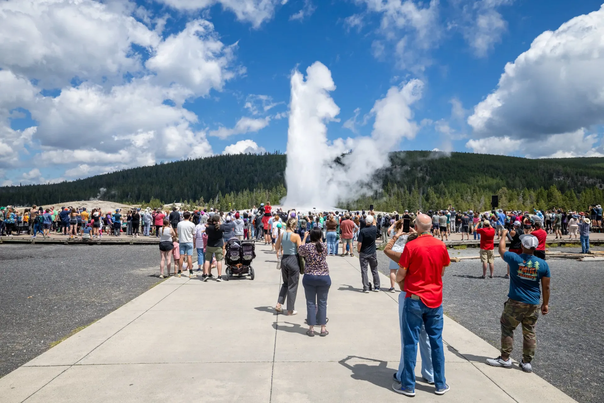 Yellowstone visitation statistics for August 2025