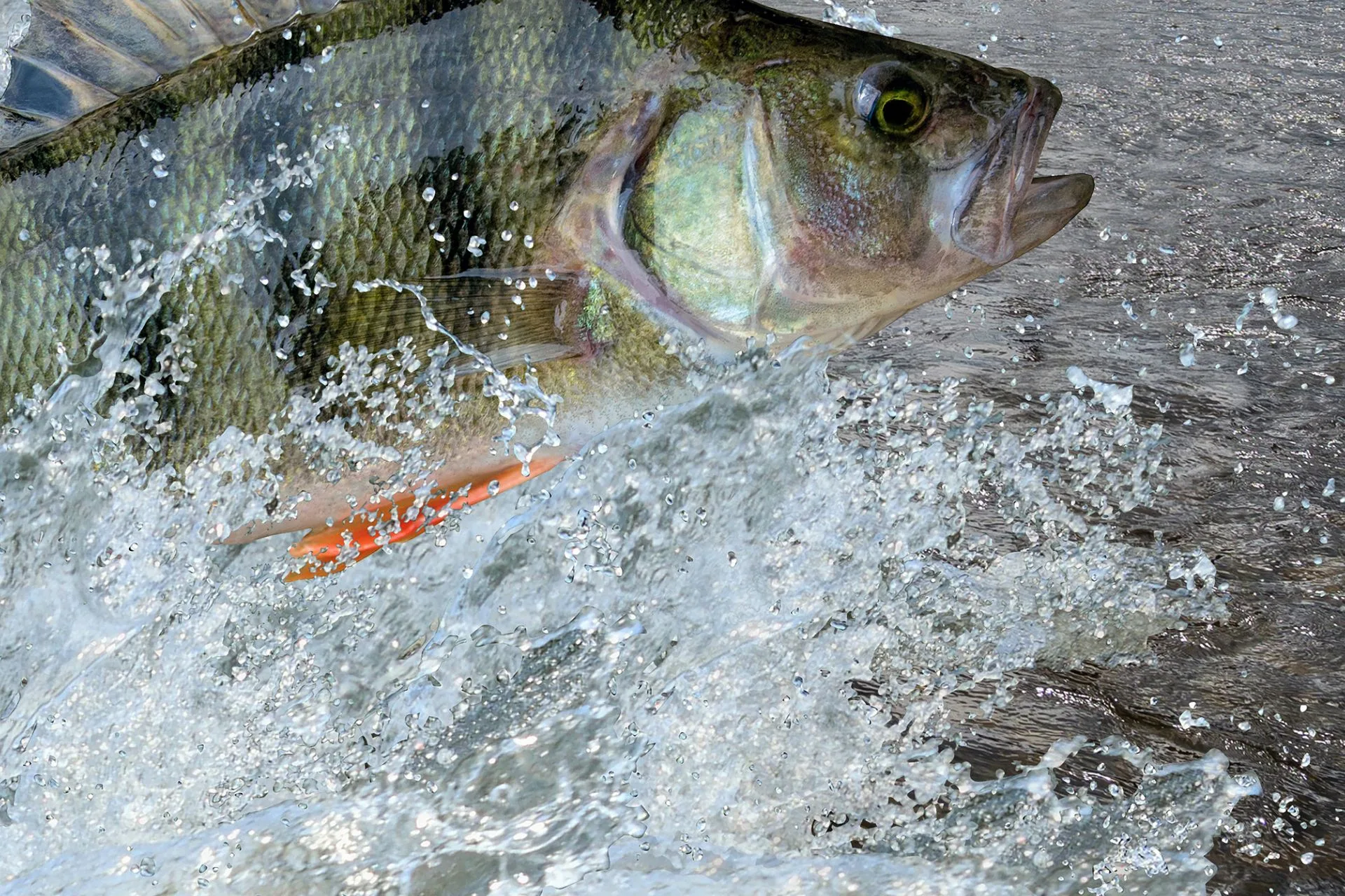 Helena Area Reservoirs Fishing Report 9.2.25