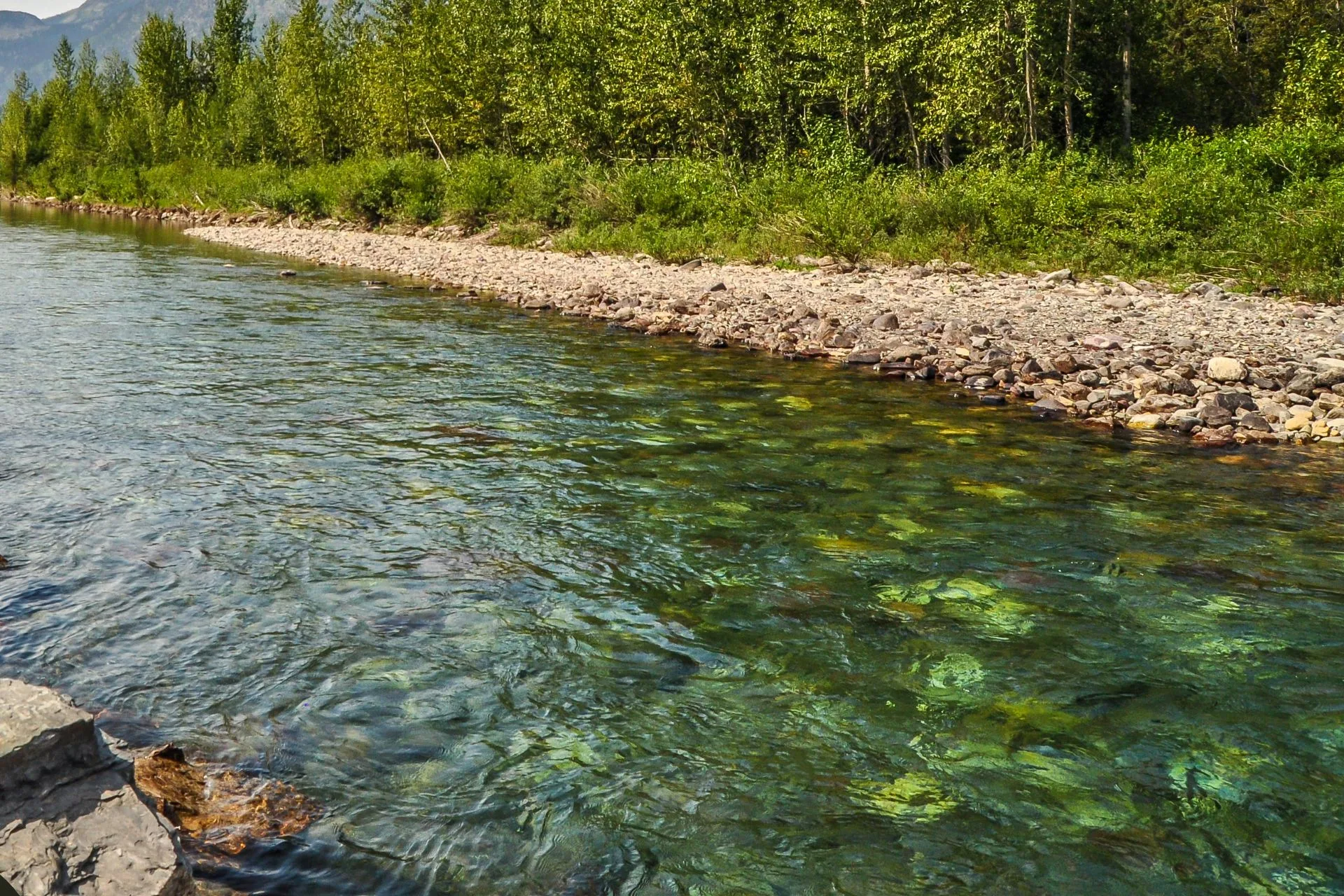 Fishing restrictions to be lifted on the Blackfoot and Upper Rock Creek Thursday