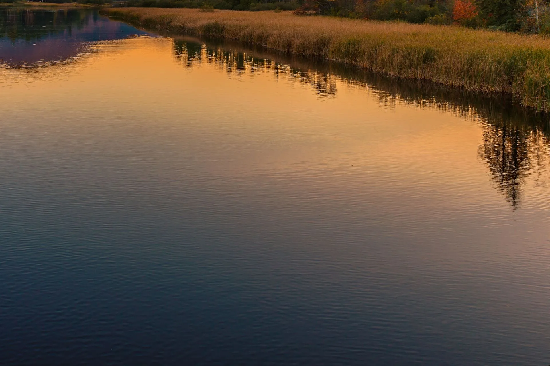 Fishing restrictions lifted today on sections of the Bitterroot, Madison, Shields rivers; full closure to take effect on section of the North Fork Blackfoot Wednesday 