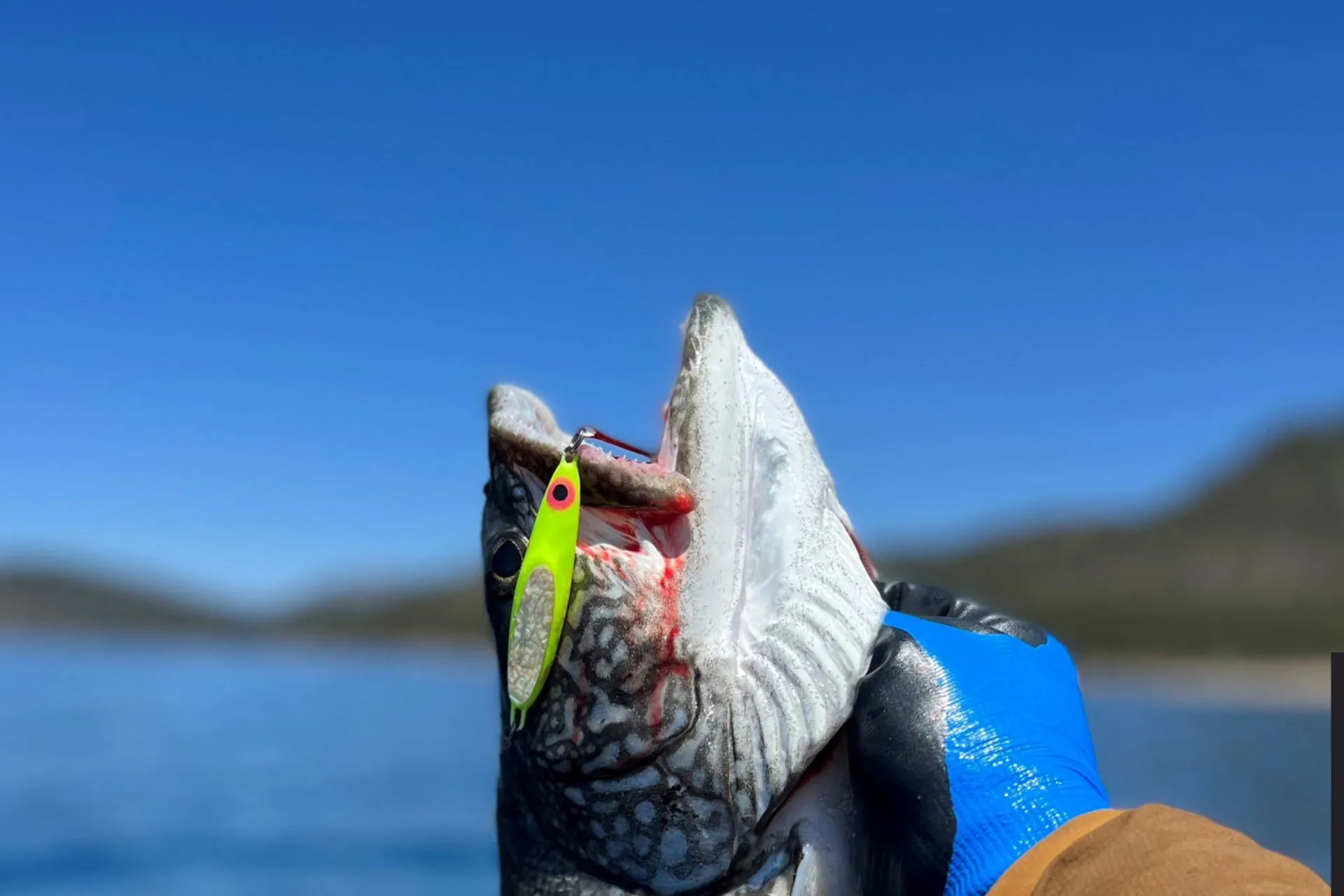 Macman’s Fishing Report 9.15.25