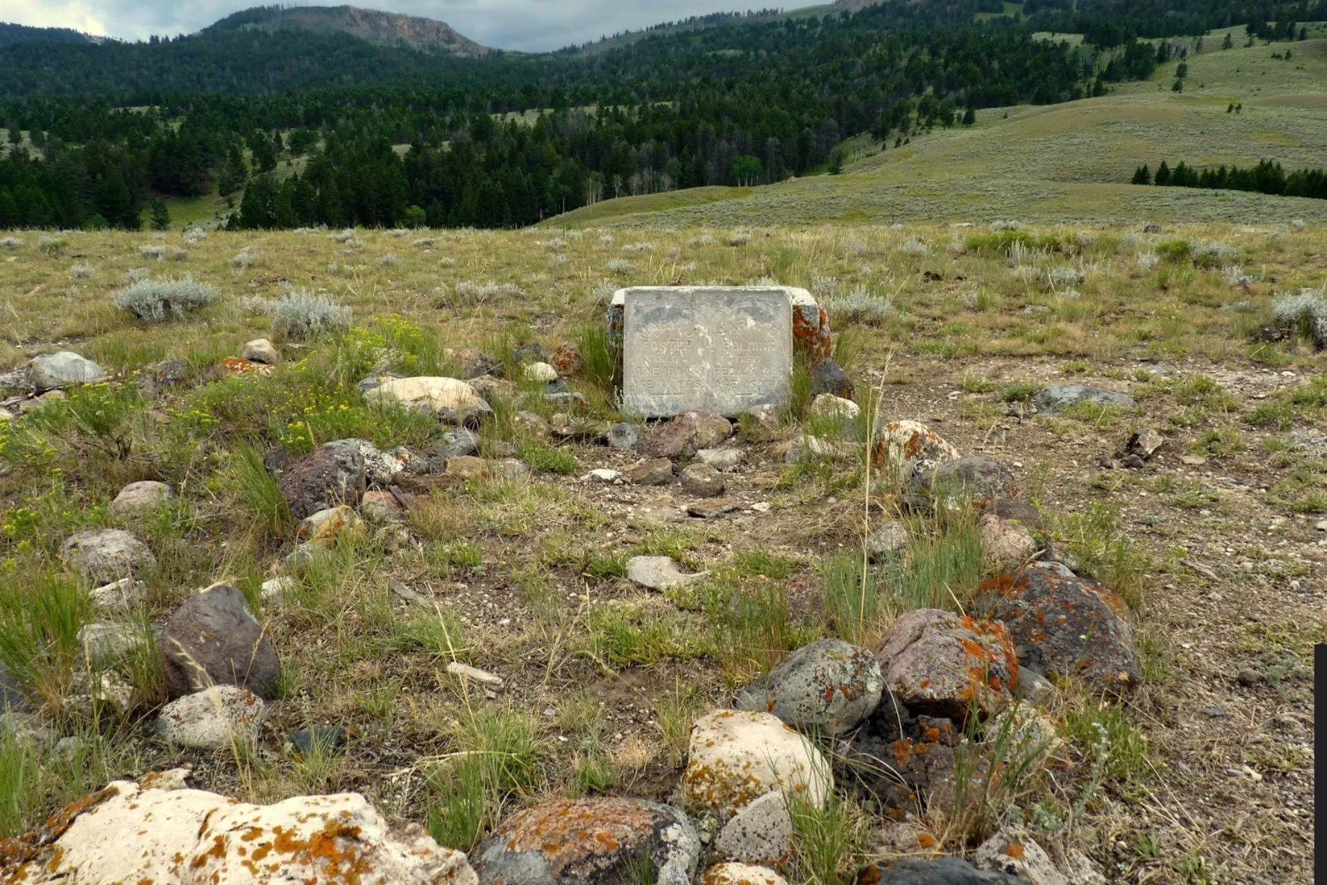 Yellow Headstones