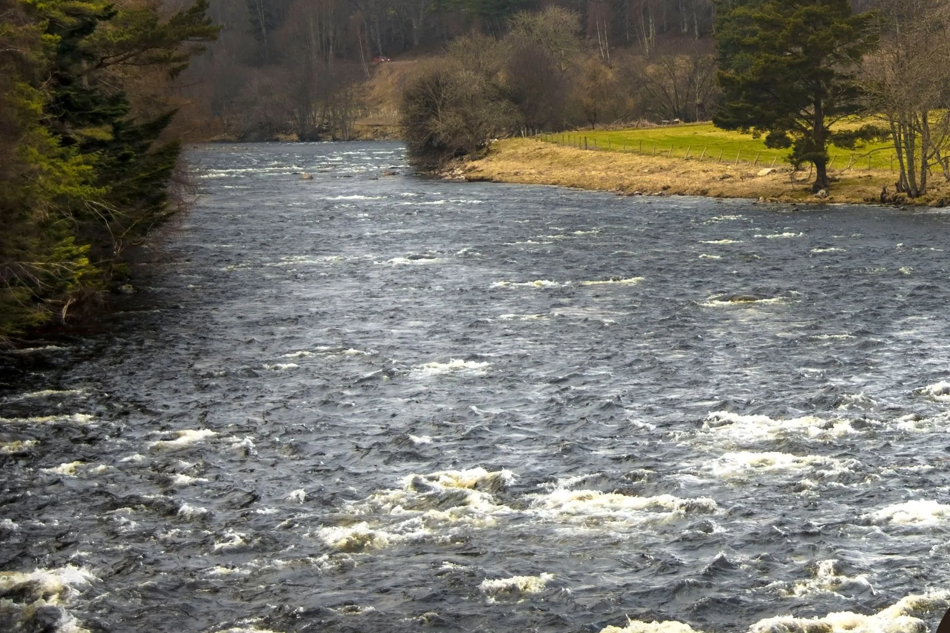 Gallatin River Fishing Report 9.23.25