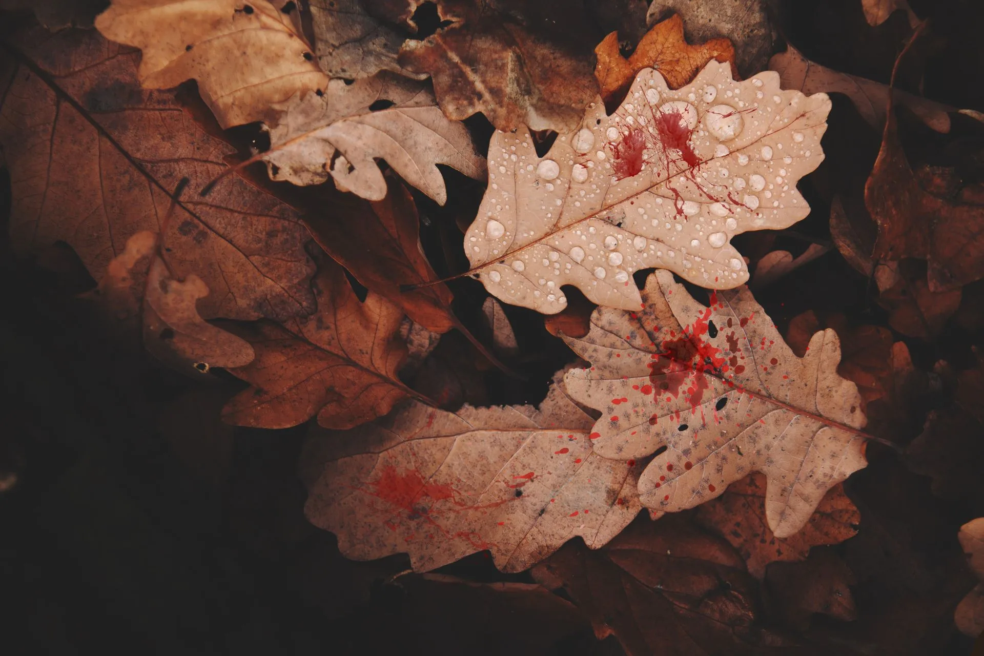 Blood Falling on the Leaves